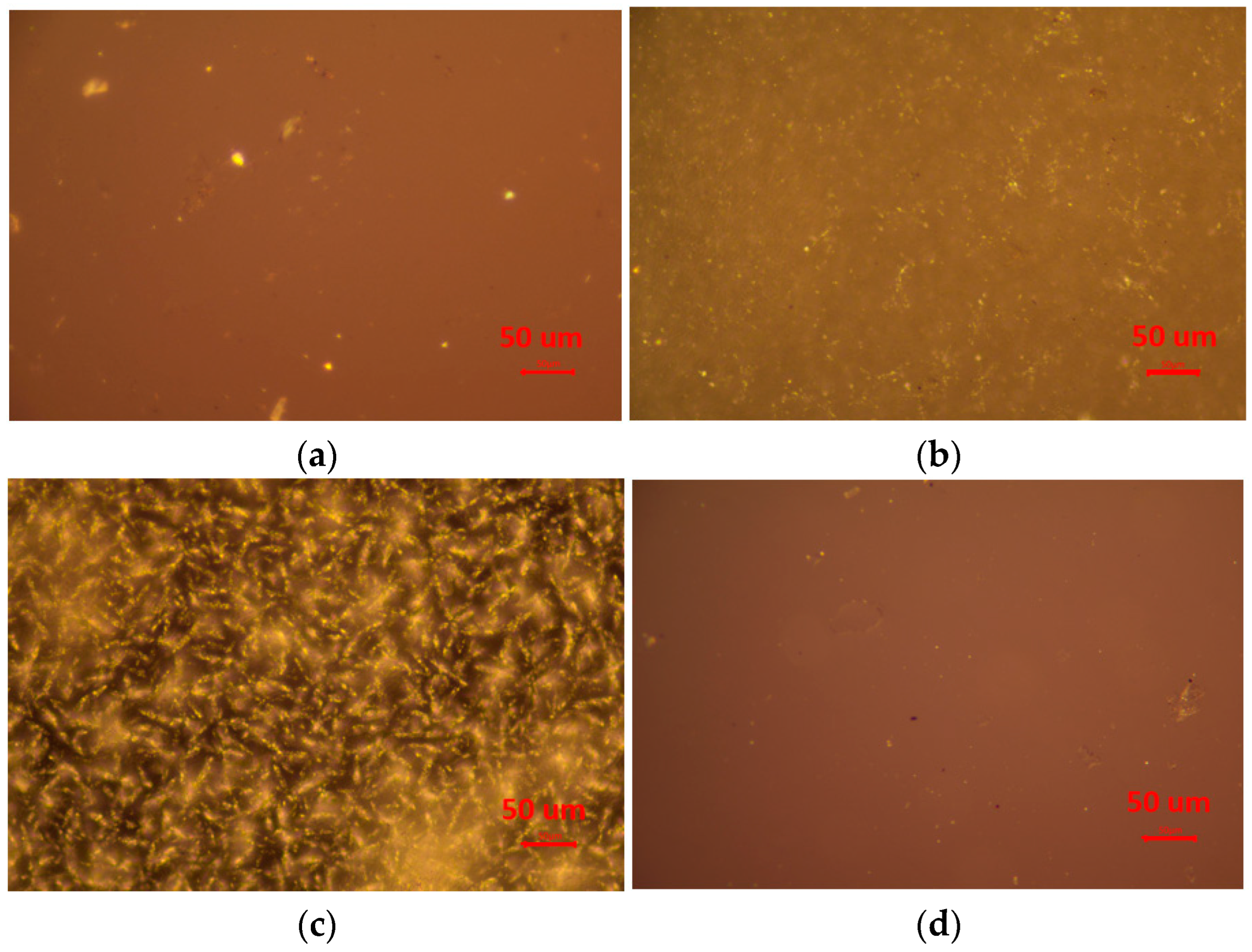 Polymers 17 00107 g002