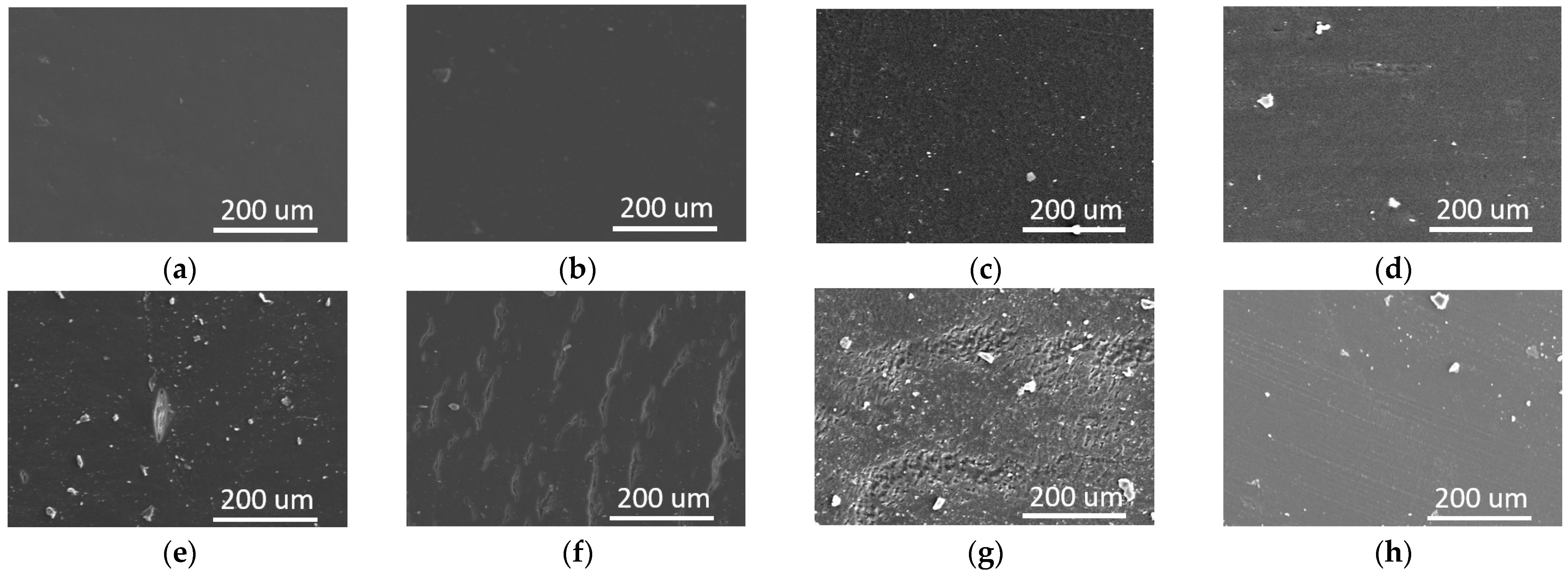 Polymers 17 00107 g004