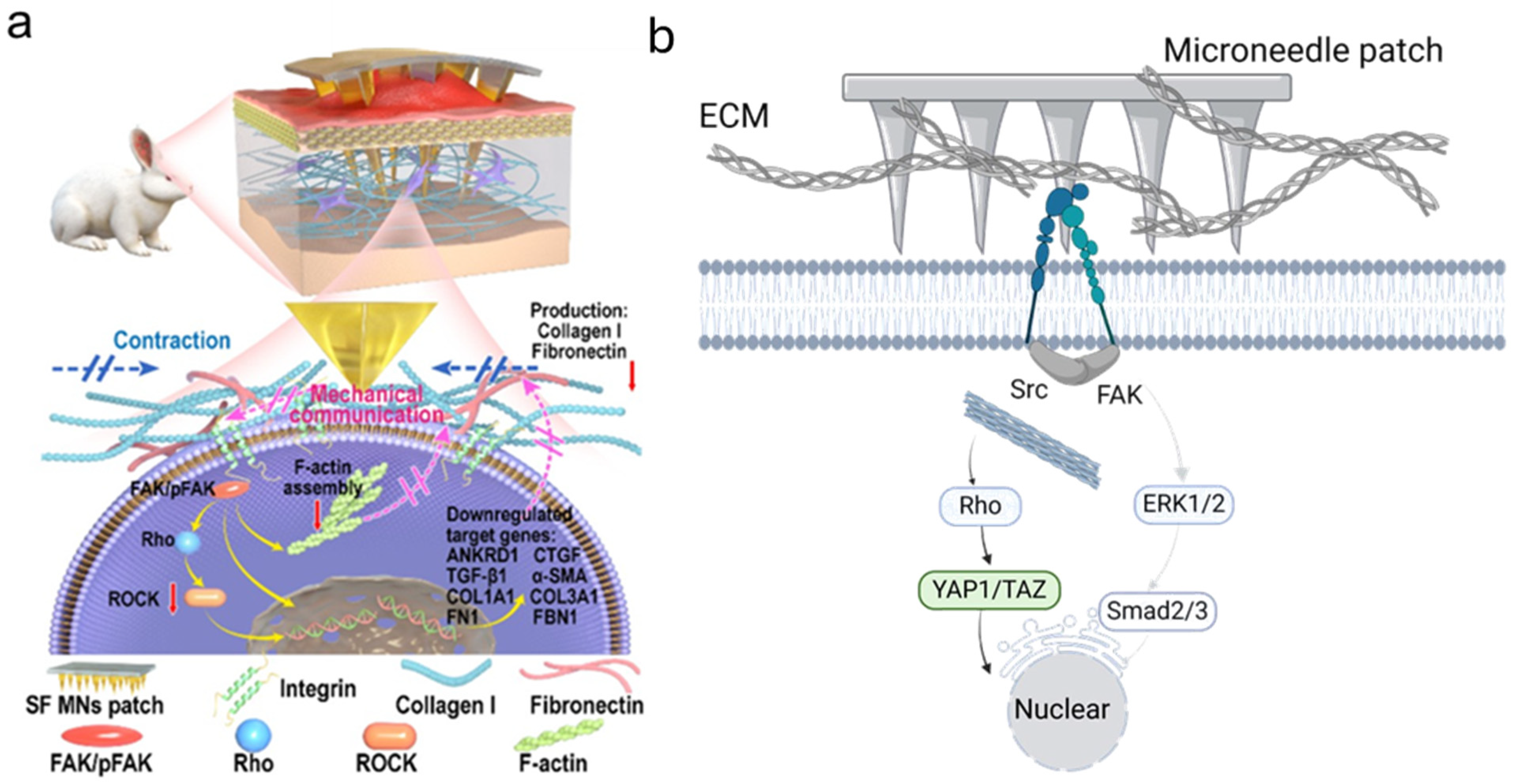 Polymers 17 00108 g003