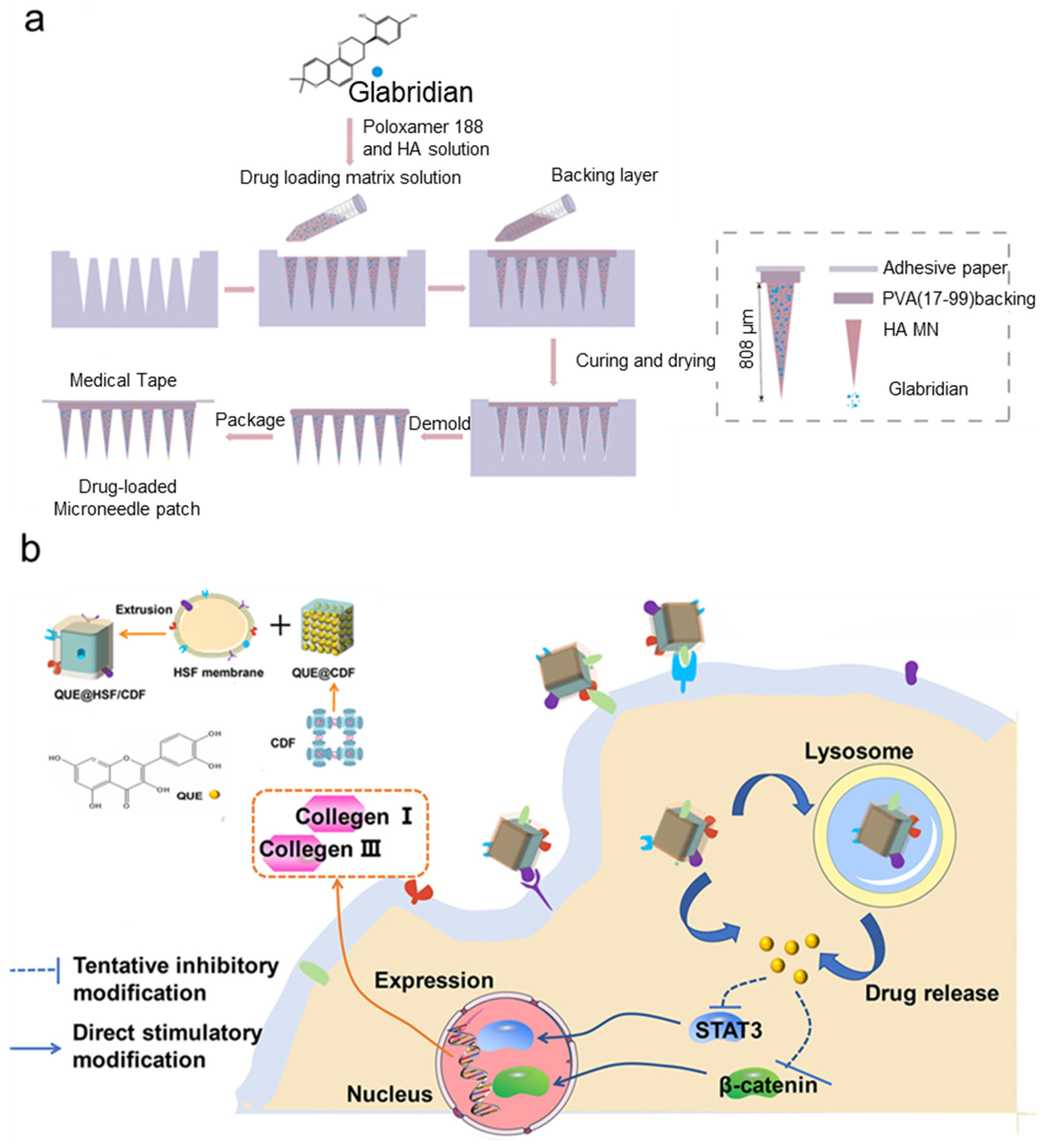 Polymers 17 00108 g005
