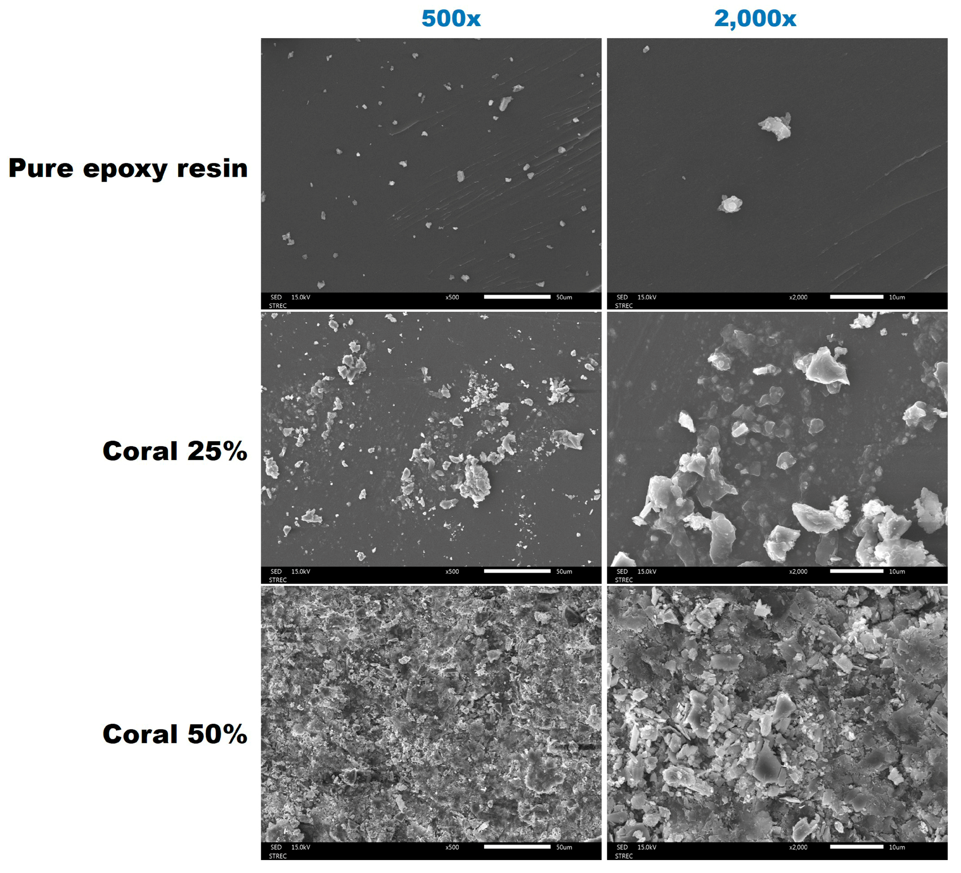 Polymers 17 00113 g007