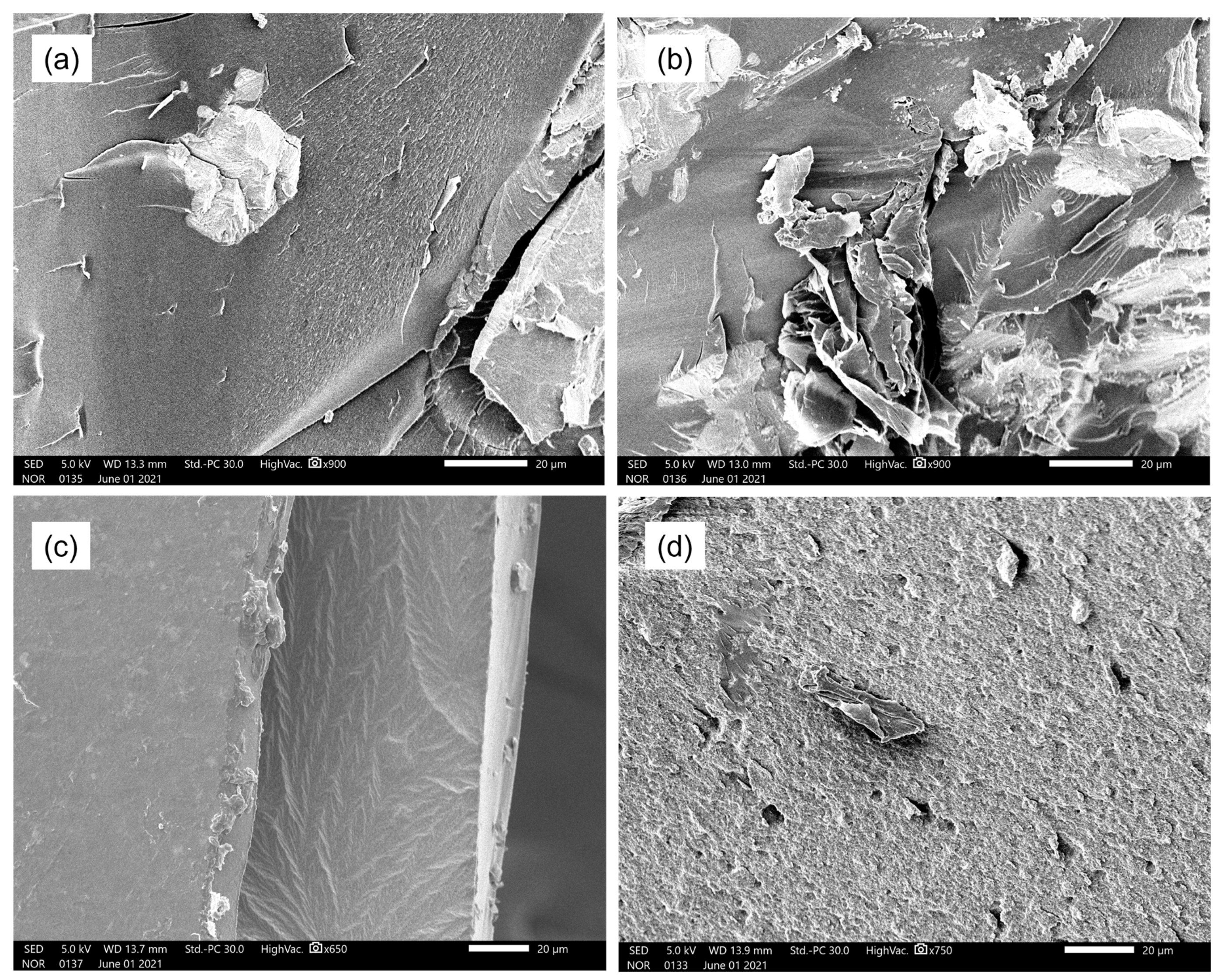 Polymers 17 00116 g005