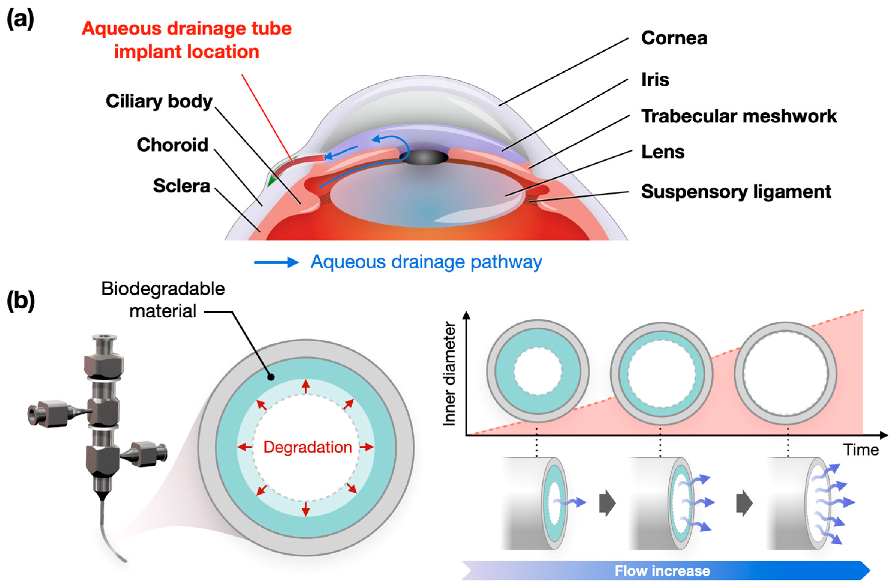 Polymers 17 00118 g001