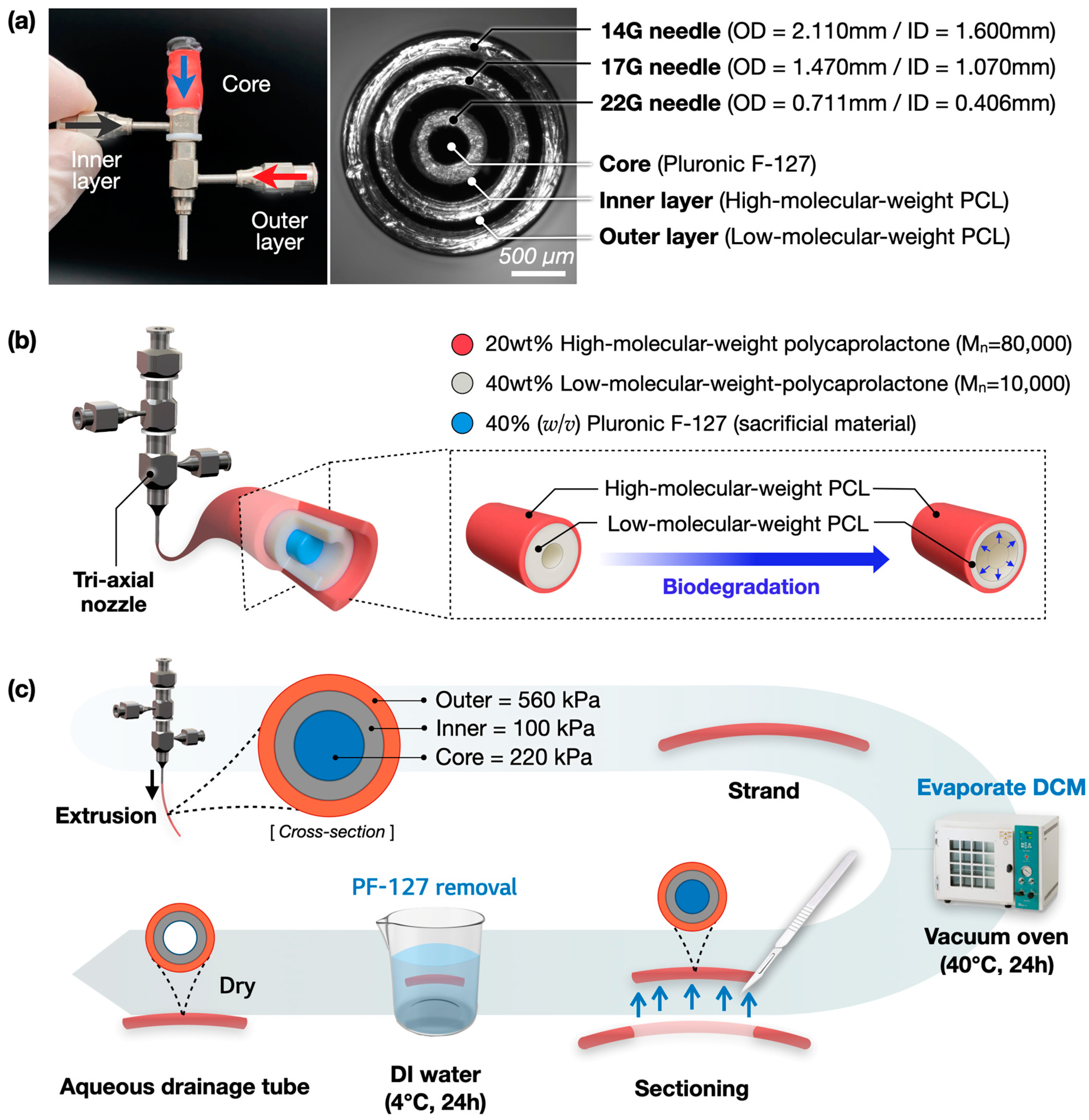Polymers 17 00118 g002