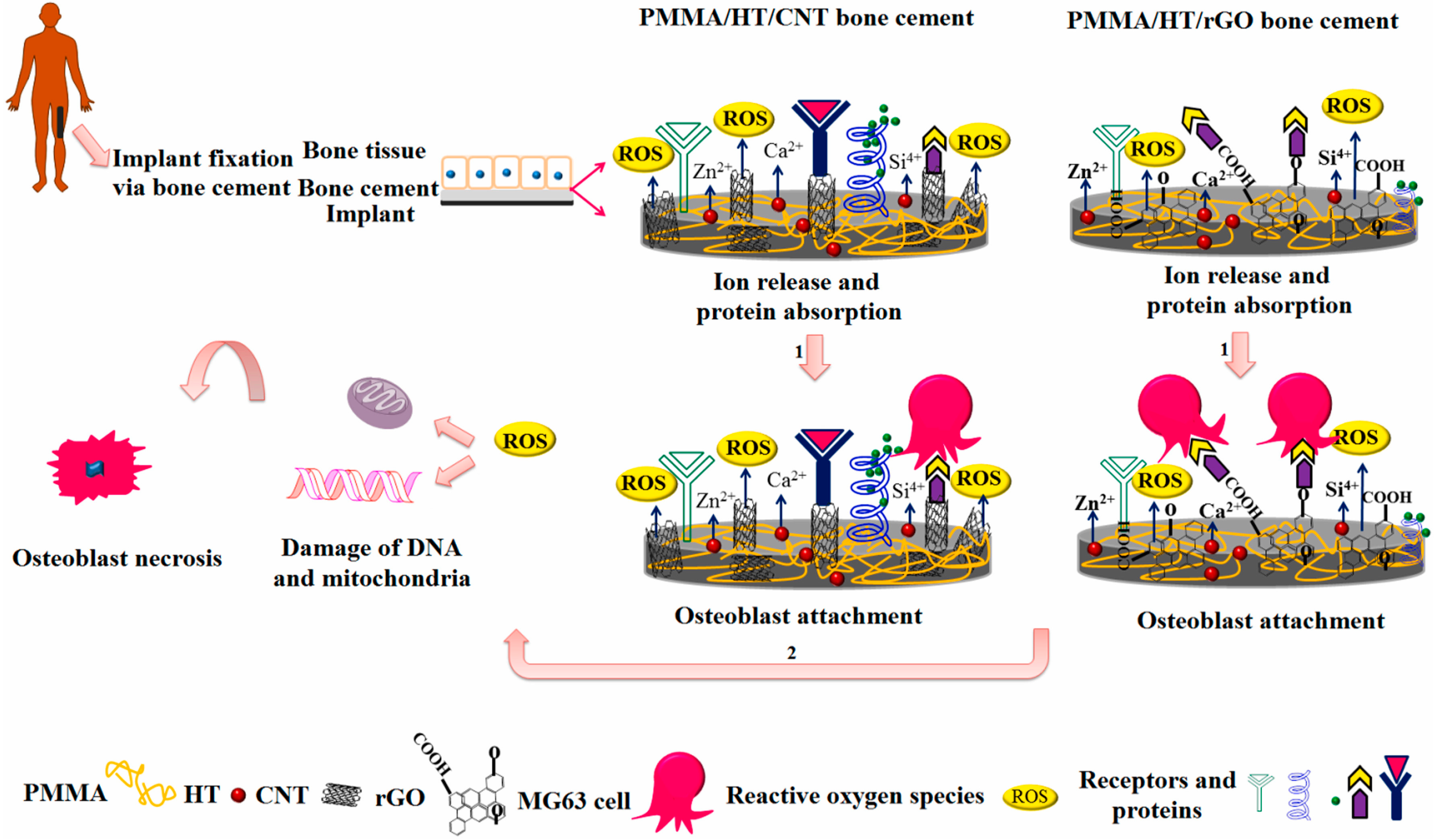 Polymers 17 00119 g011