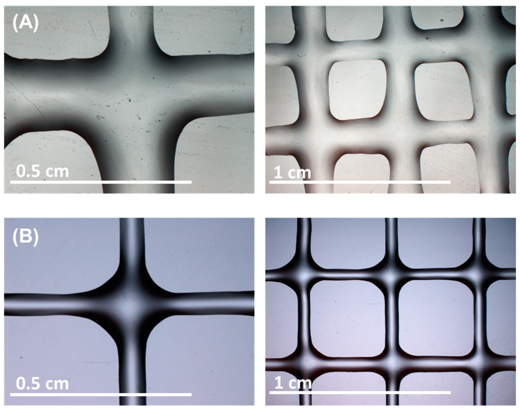 Polymers 17 00121 g006