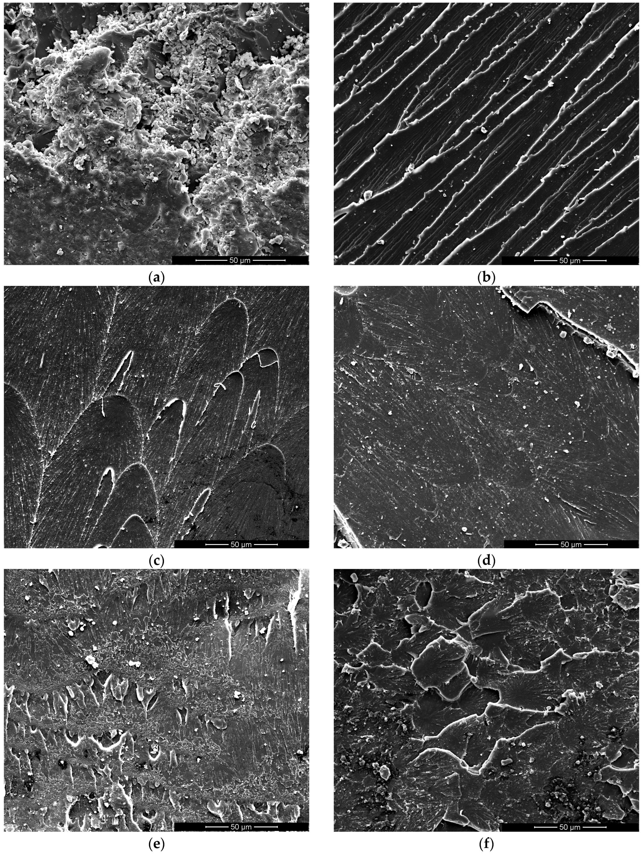 Polymers 17 00131 g008