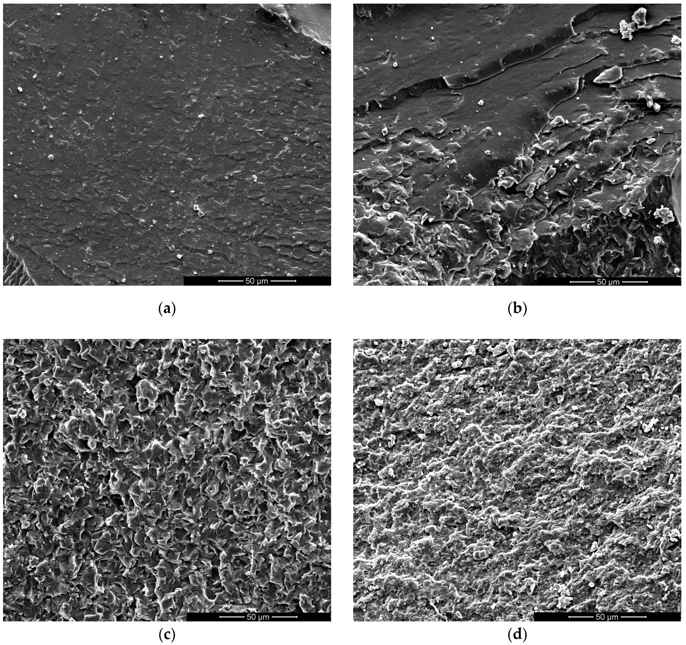 Polymers 17 00131 g009