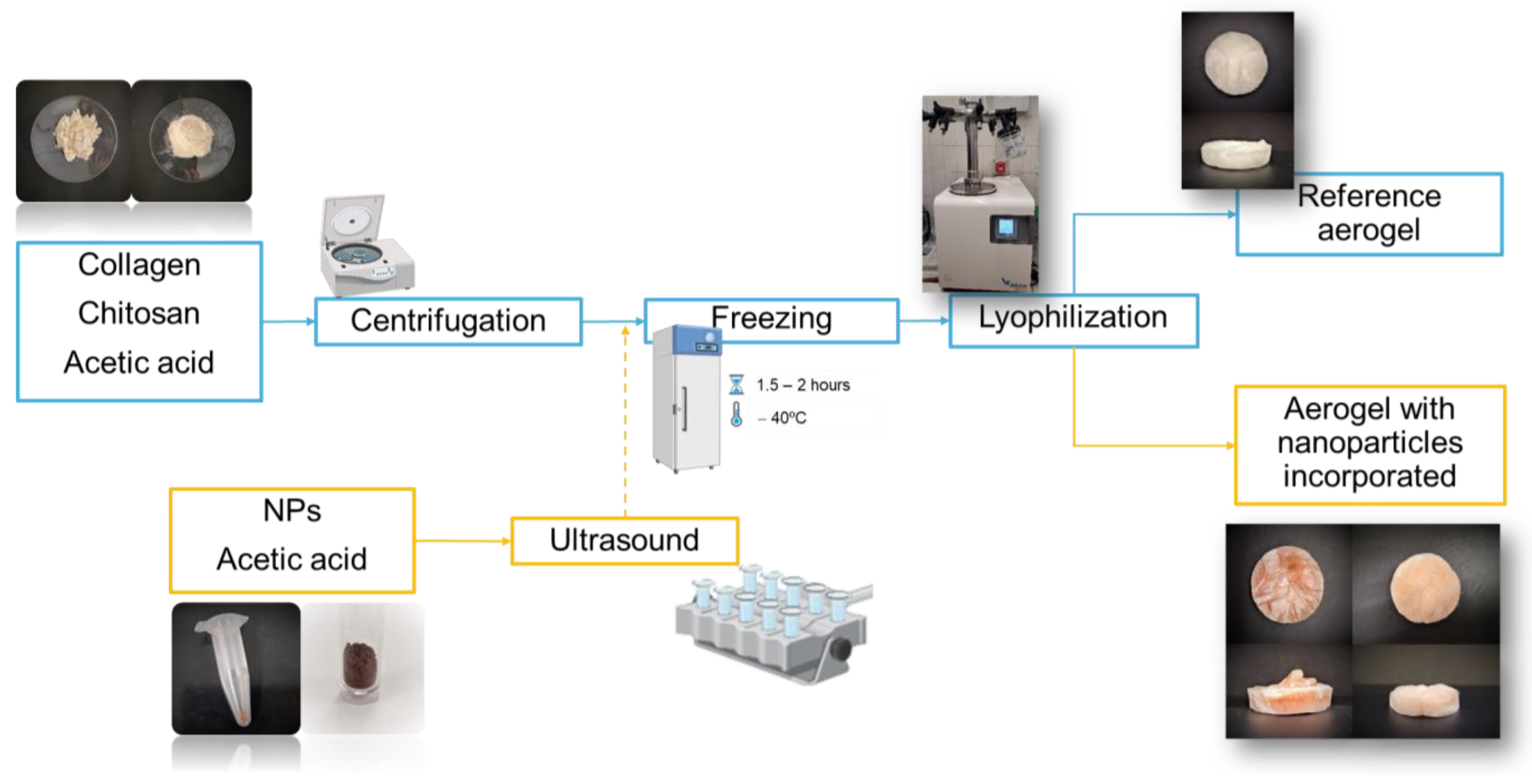 Polymers 17 00133 g001