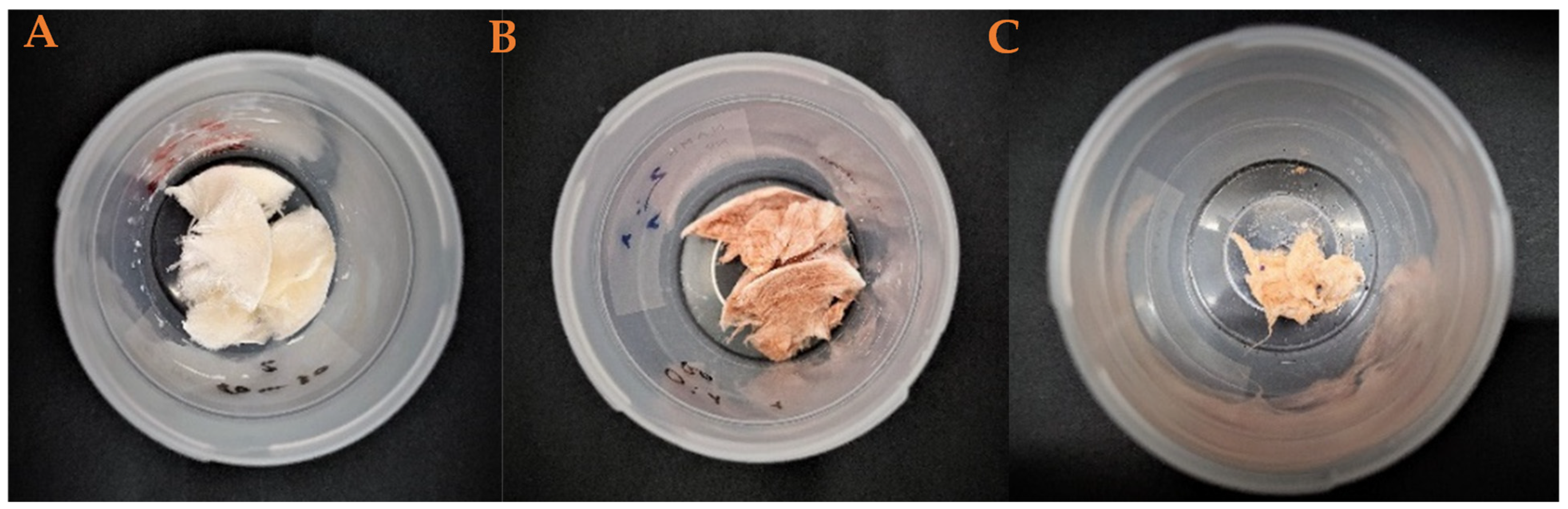 Polymers 17 00133 g006