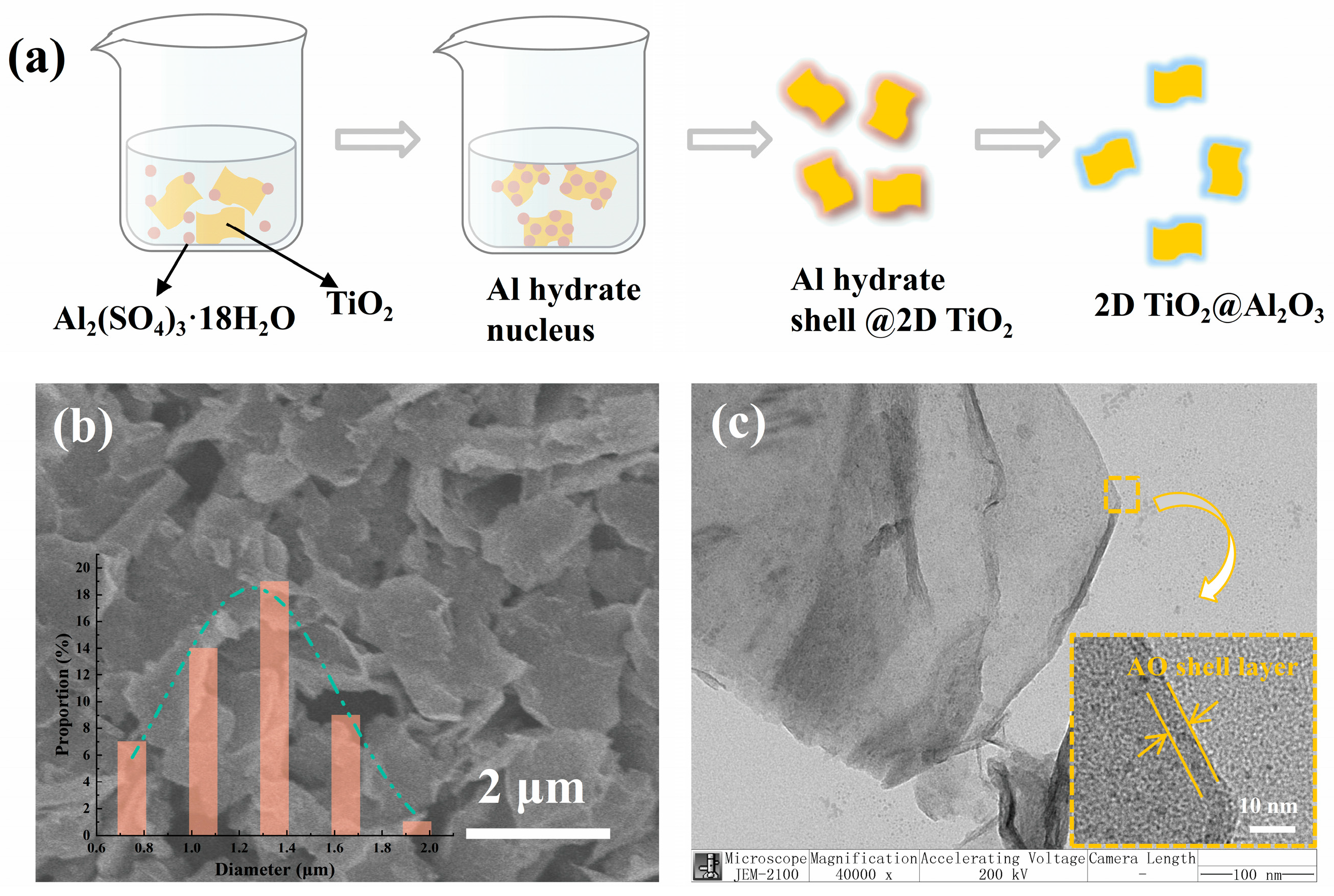 Polymers 17 00137 g001