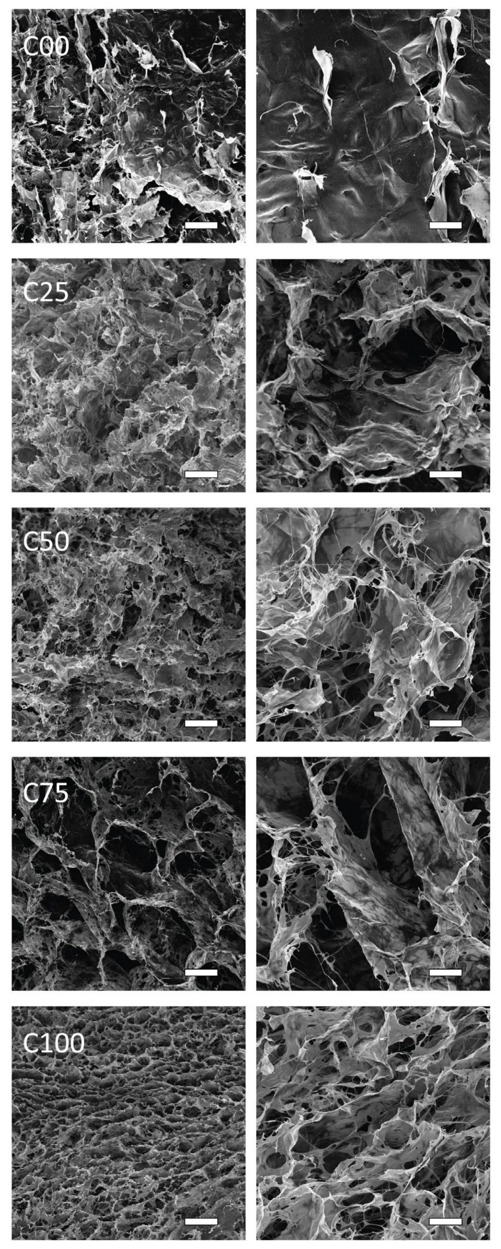 Polymers 17 00140 g003