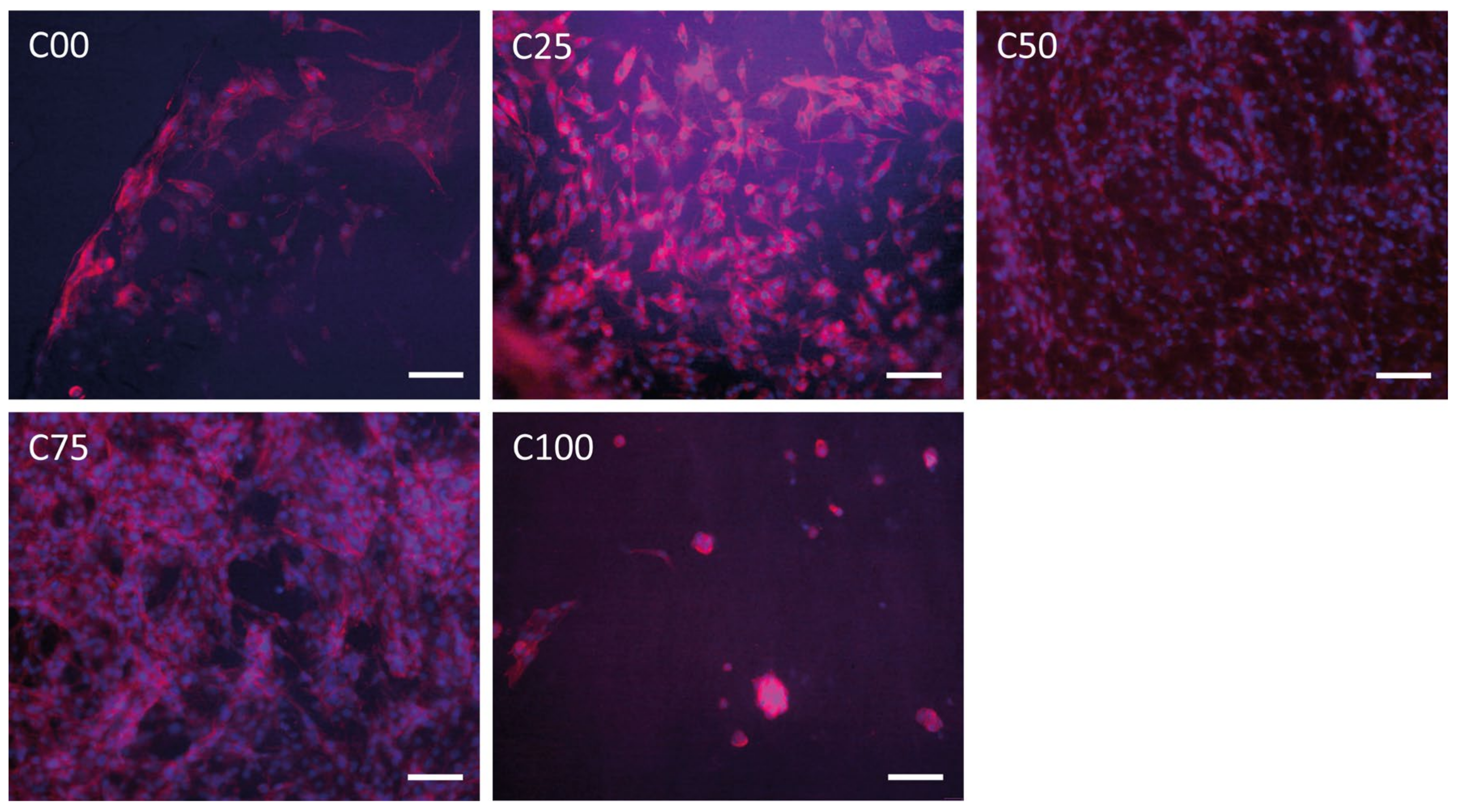 Polymers 17 00140 g006