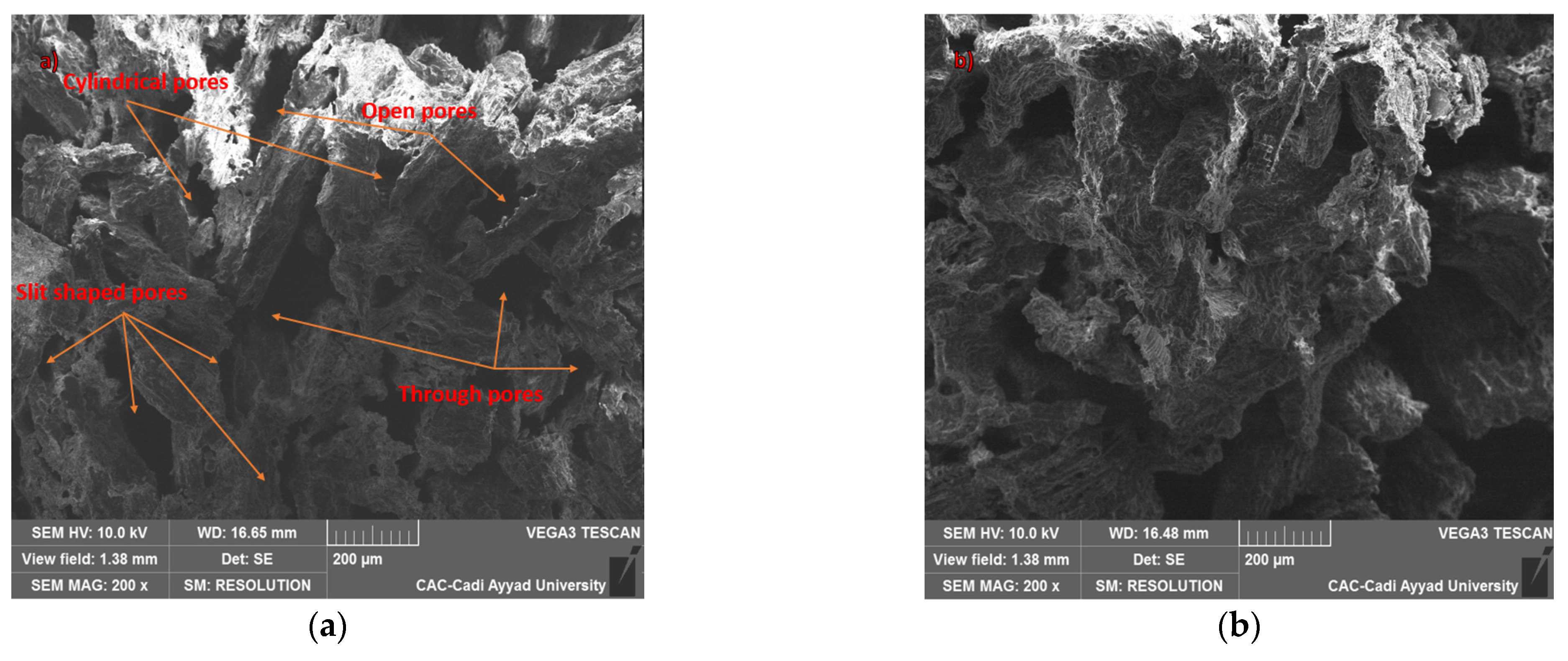 Polymers 17 00142 g003