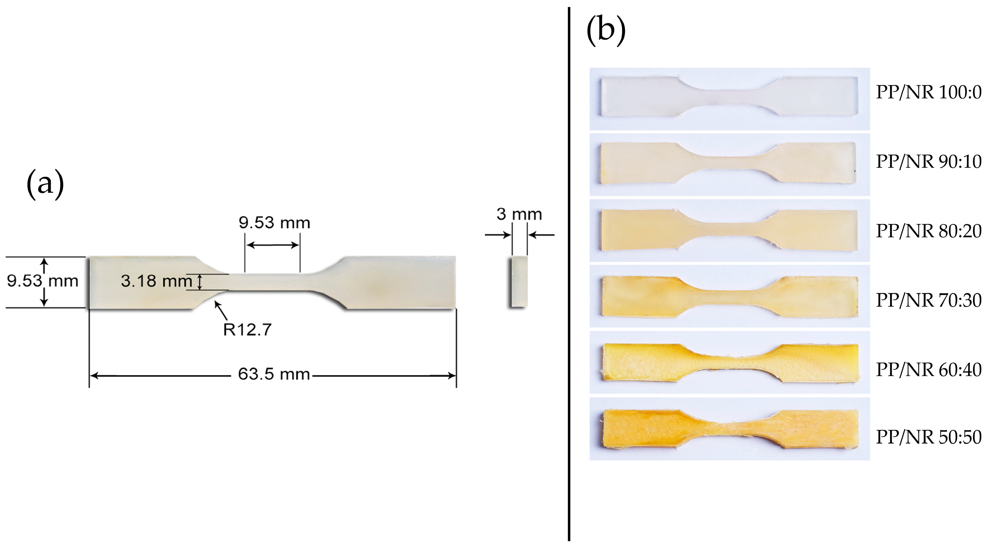 Polymers 17 00143 g002