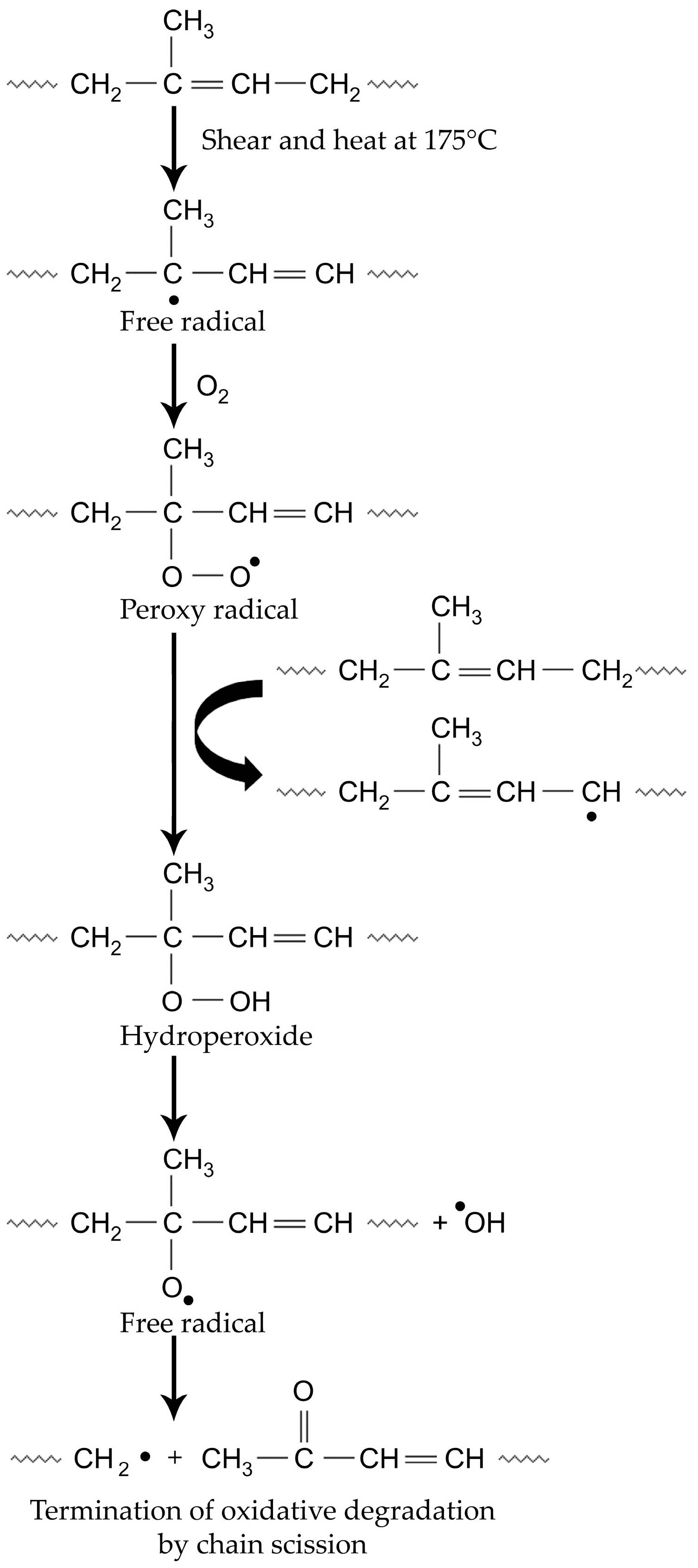 Polymers 17 00143 g004