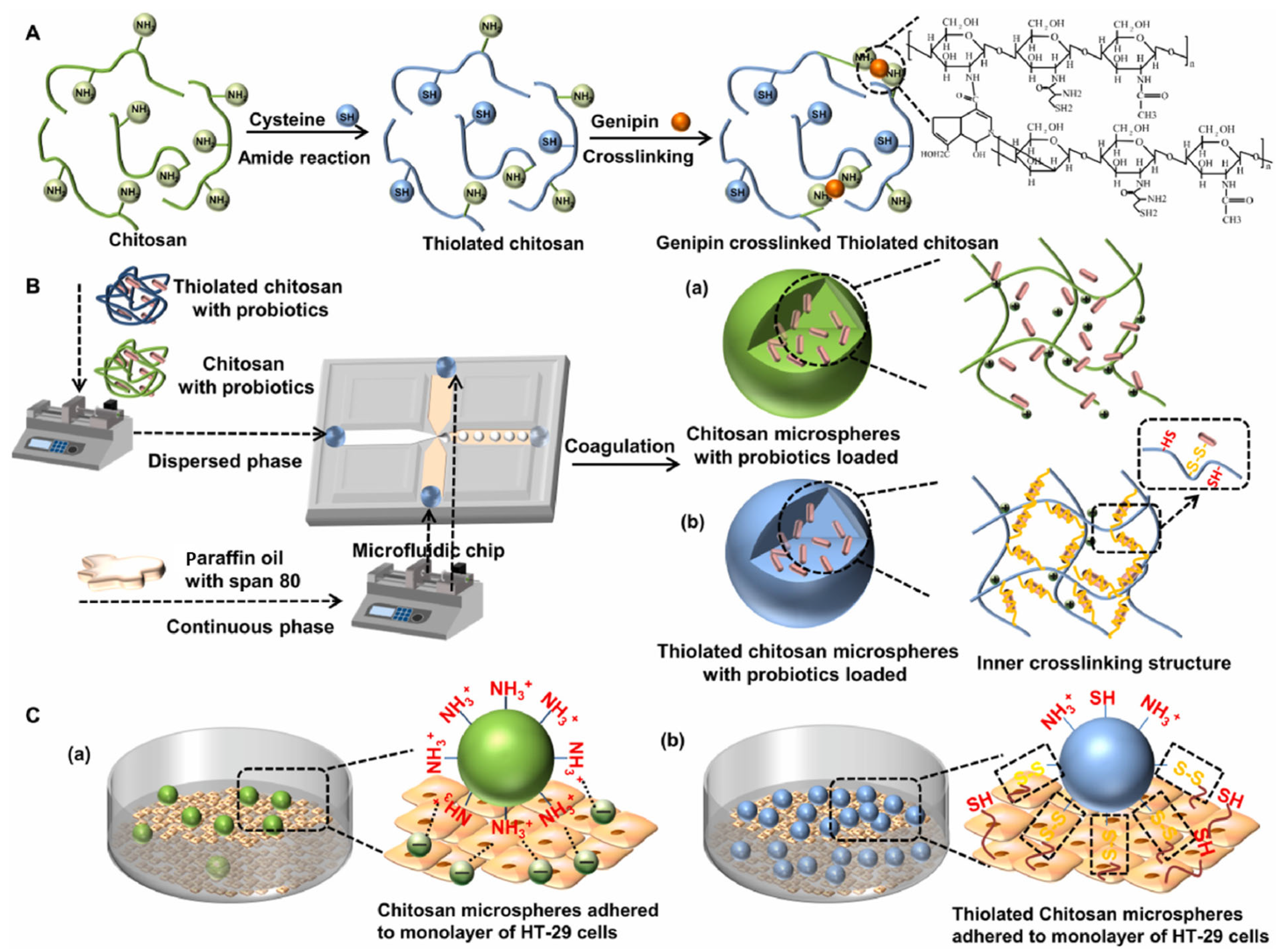 Polymers 17 00144 g001