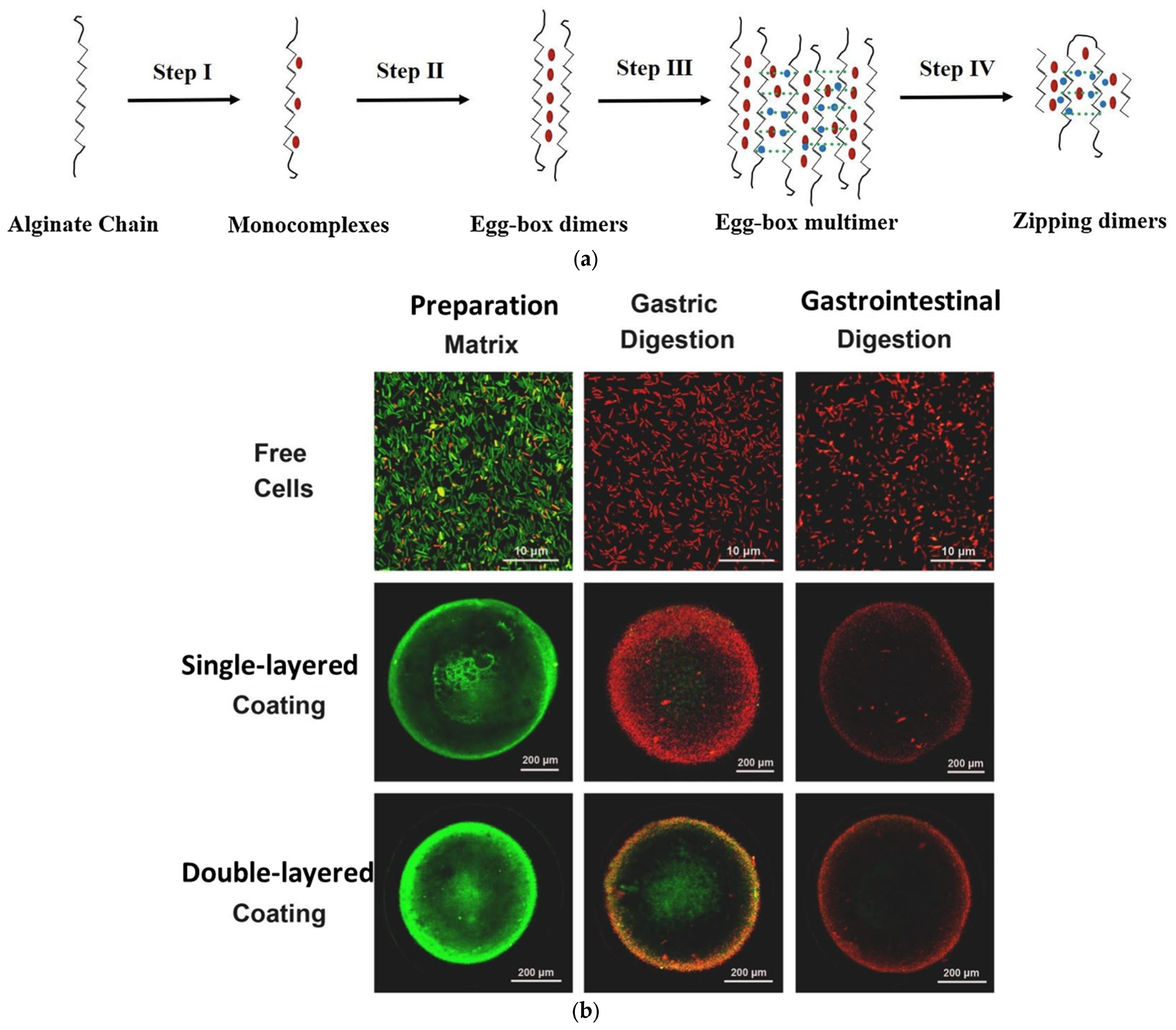 Polymers 17 00144 g002a