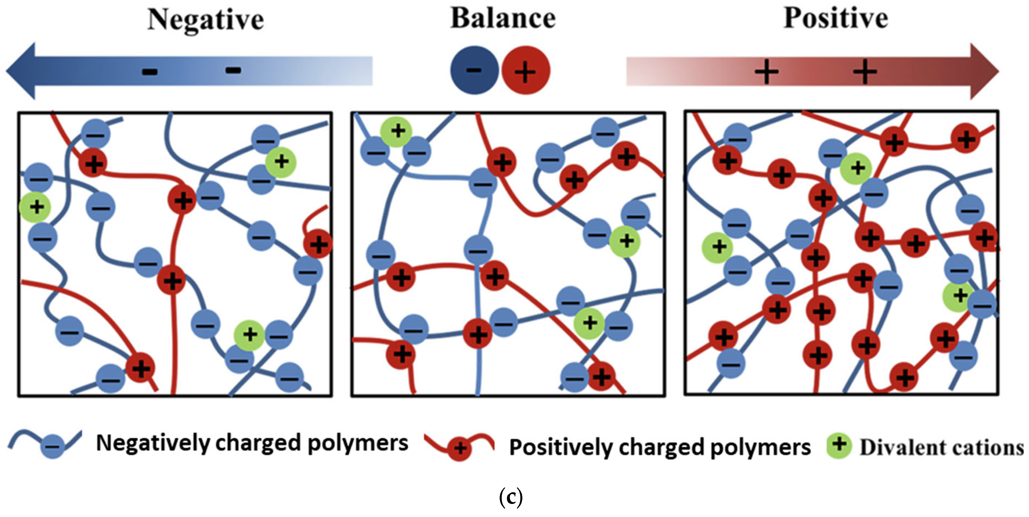 Polymers 17 00144 g002b