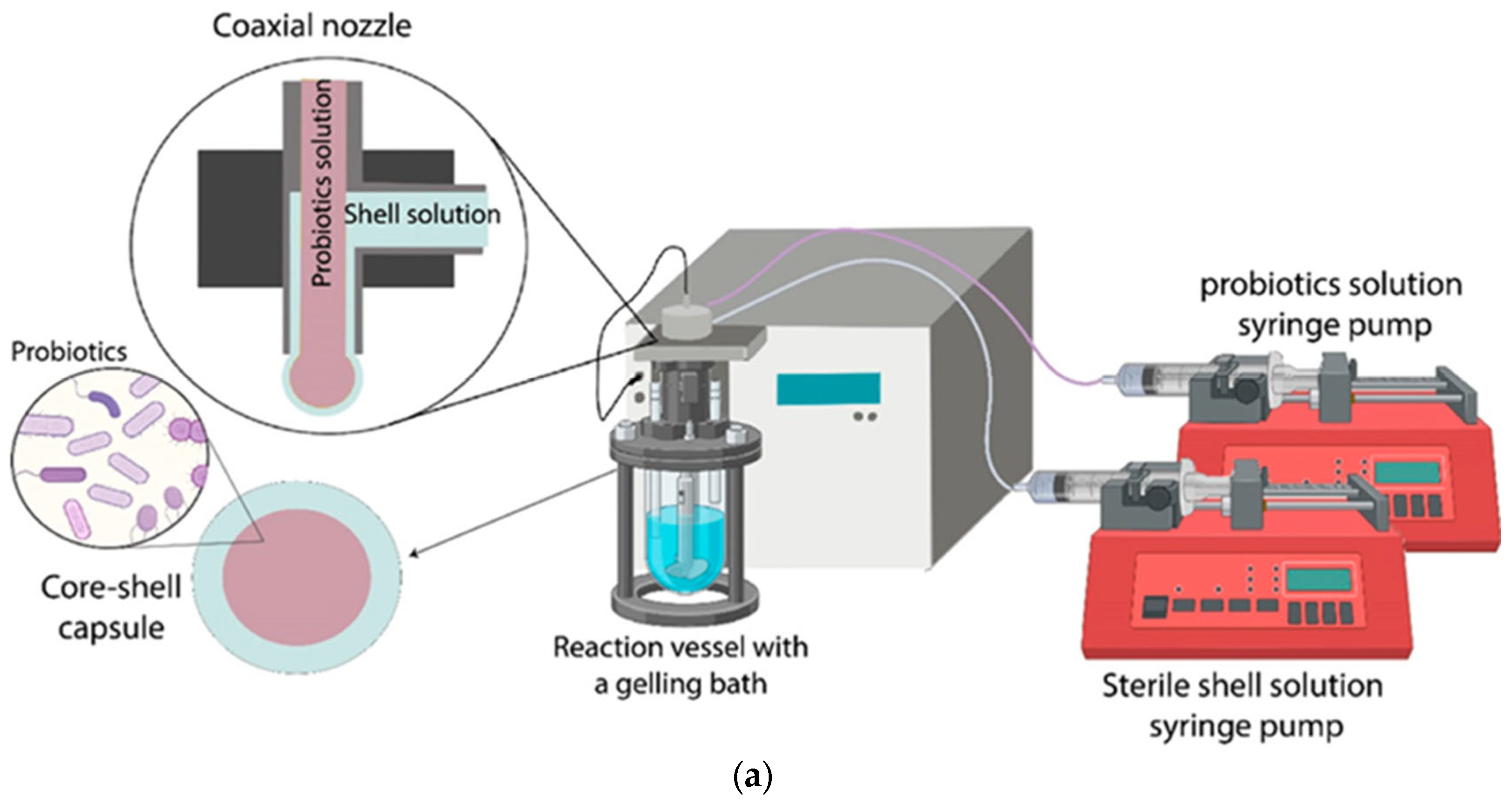 Polymers 17 00144 g003a
