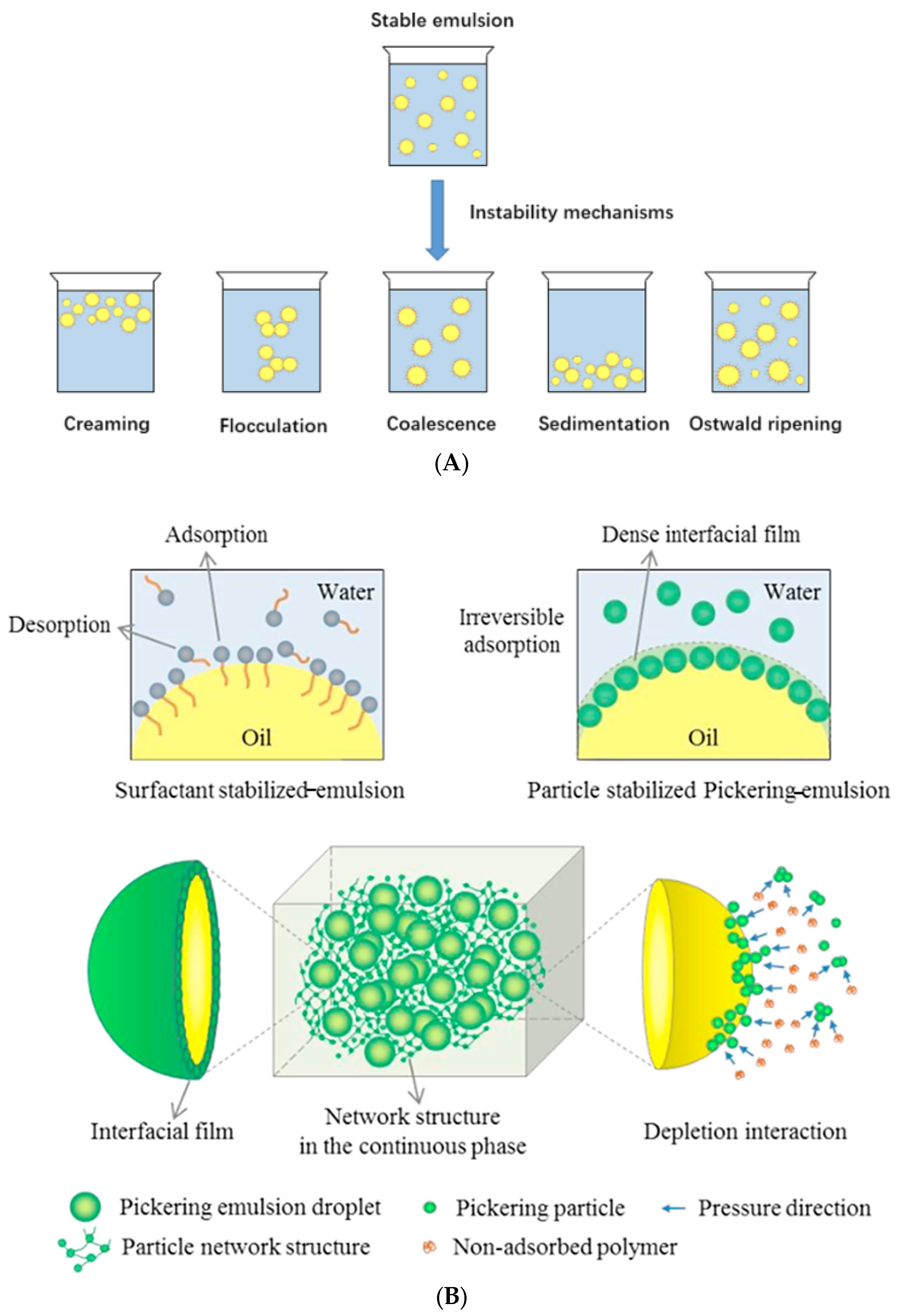 Polymers 17 00144 g004
