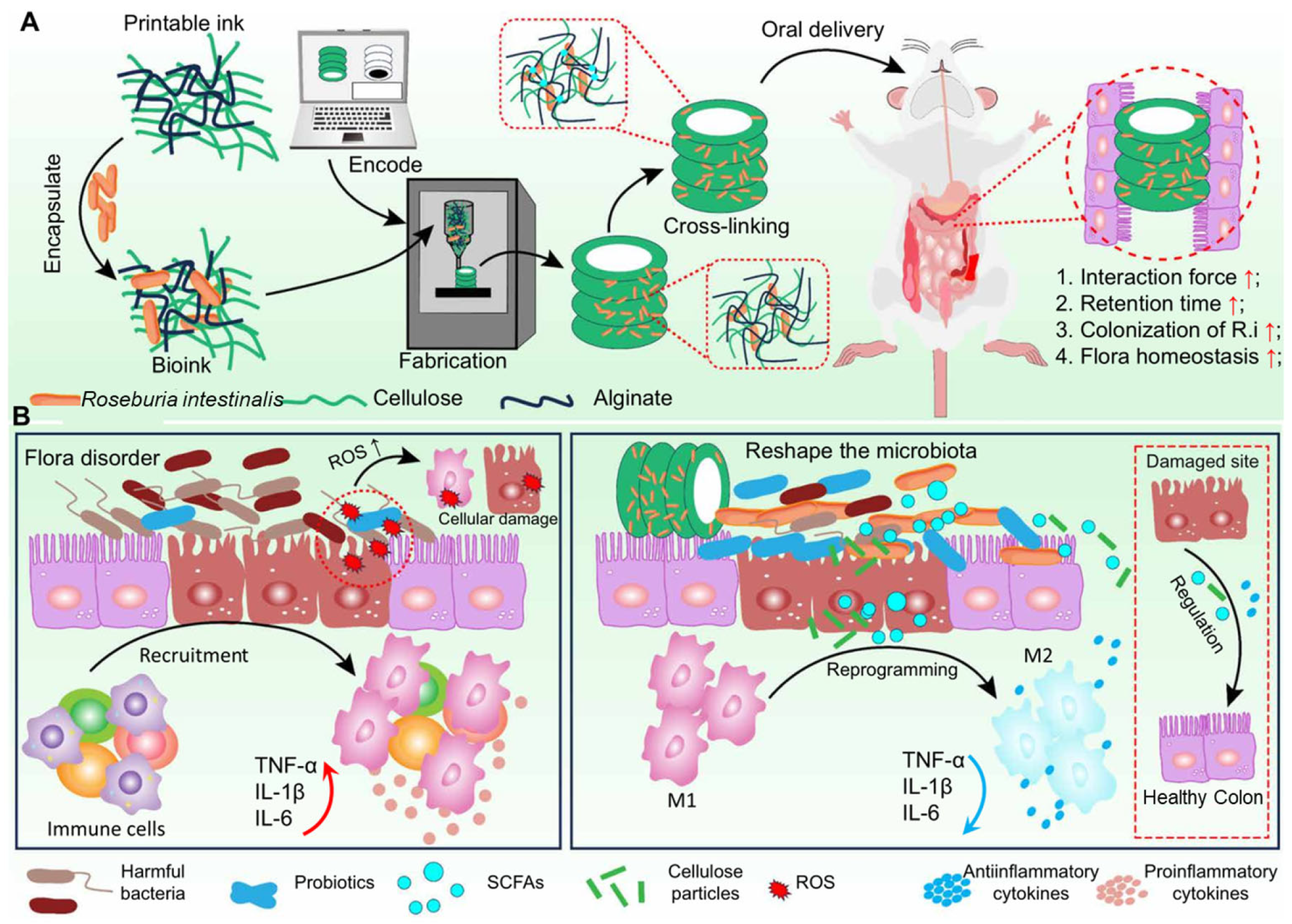 Polymers 17 00144 g006