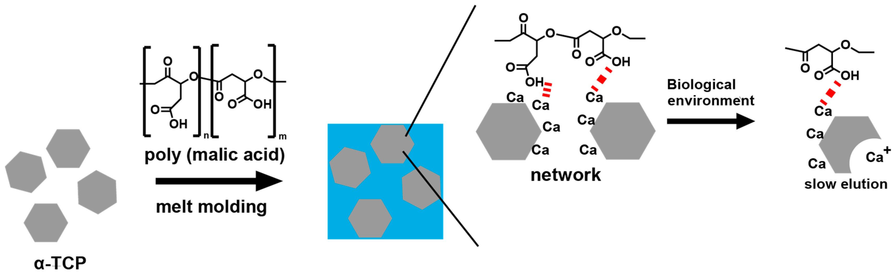 Polymers 17 00147 g001