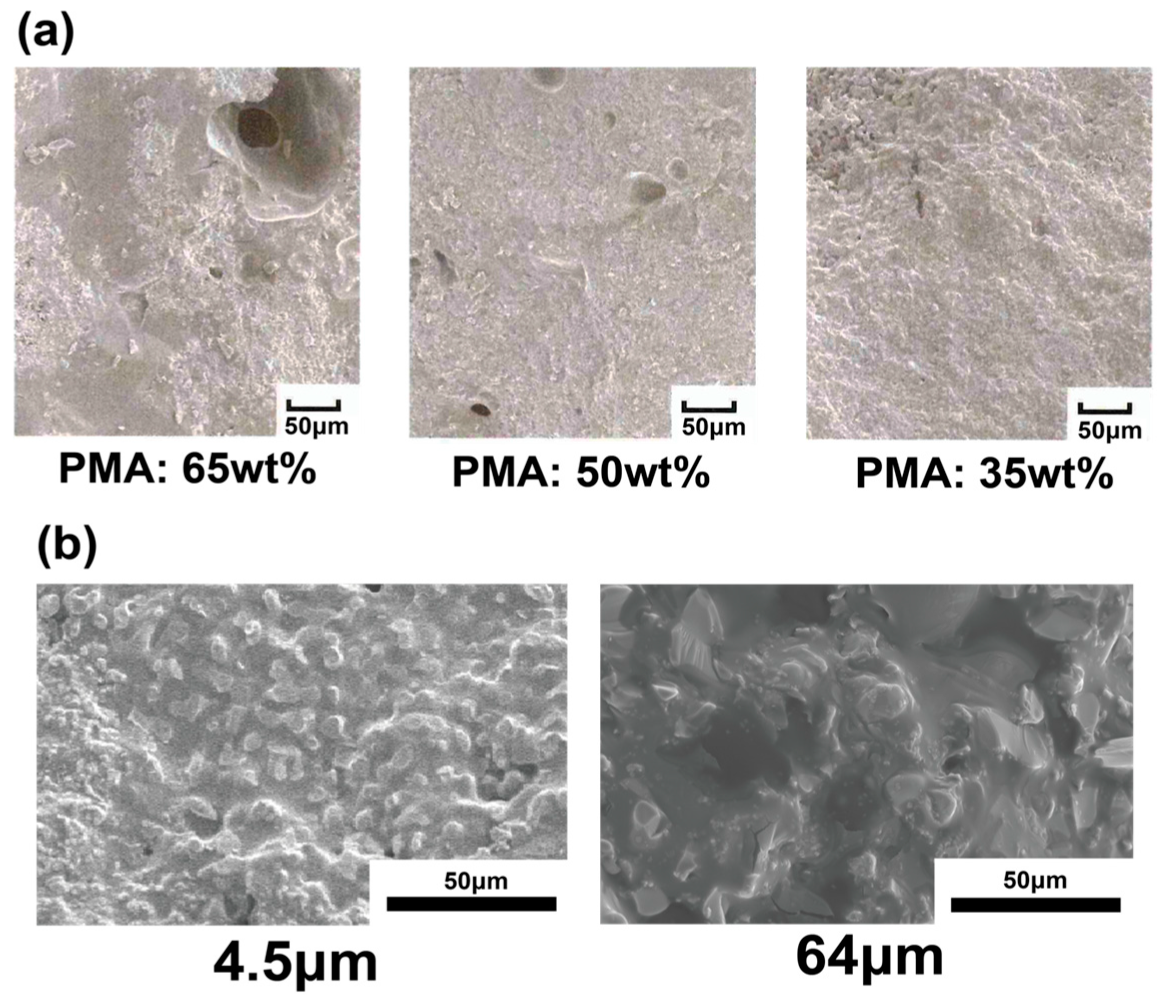 Polymers 17 00147 g004