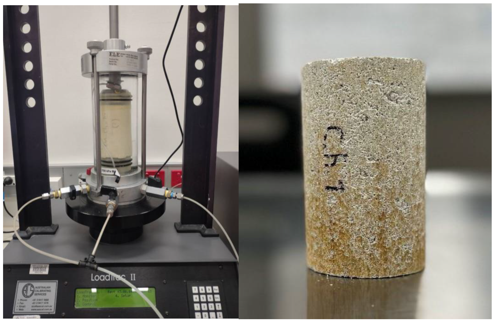 Polymers 17 00151 g005