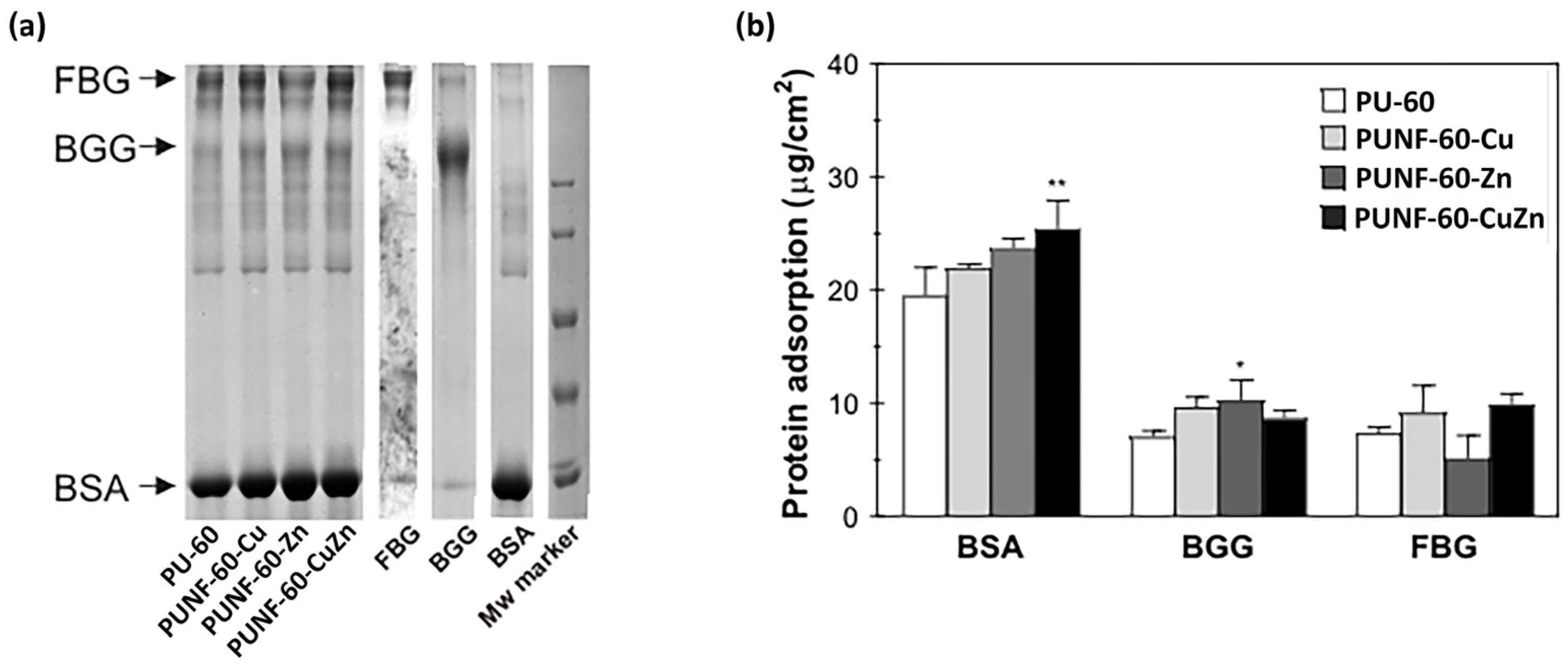 Polymers 17 00152 g008