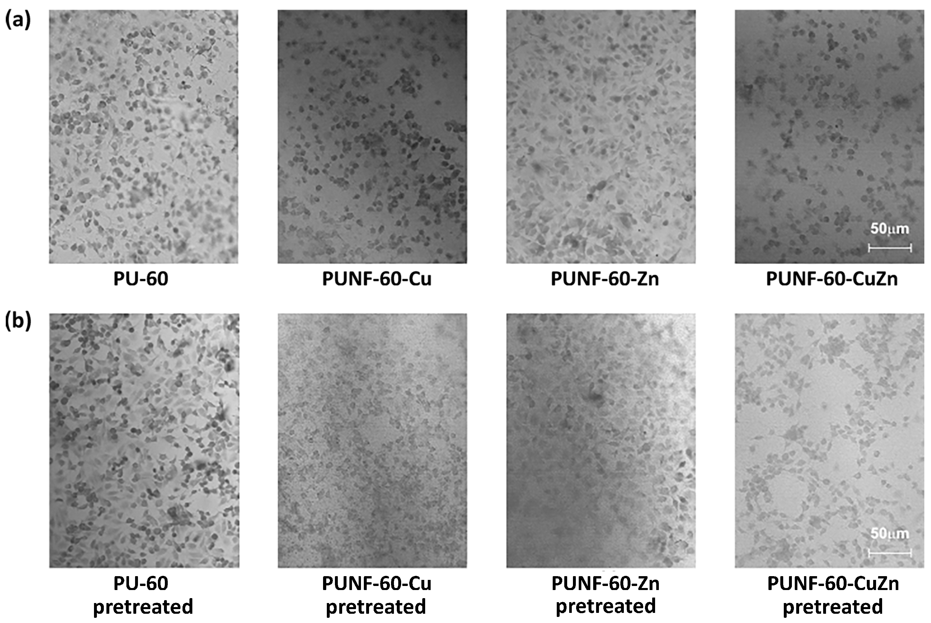Polymers 17 00152 g010