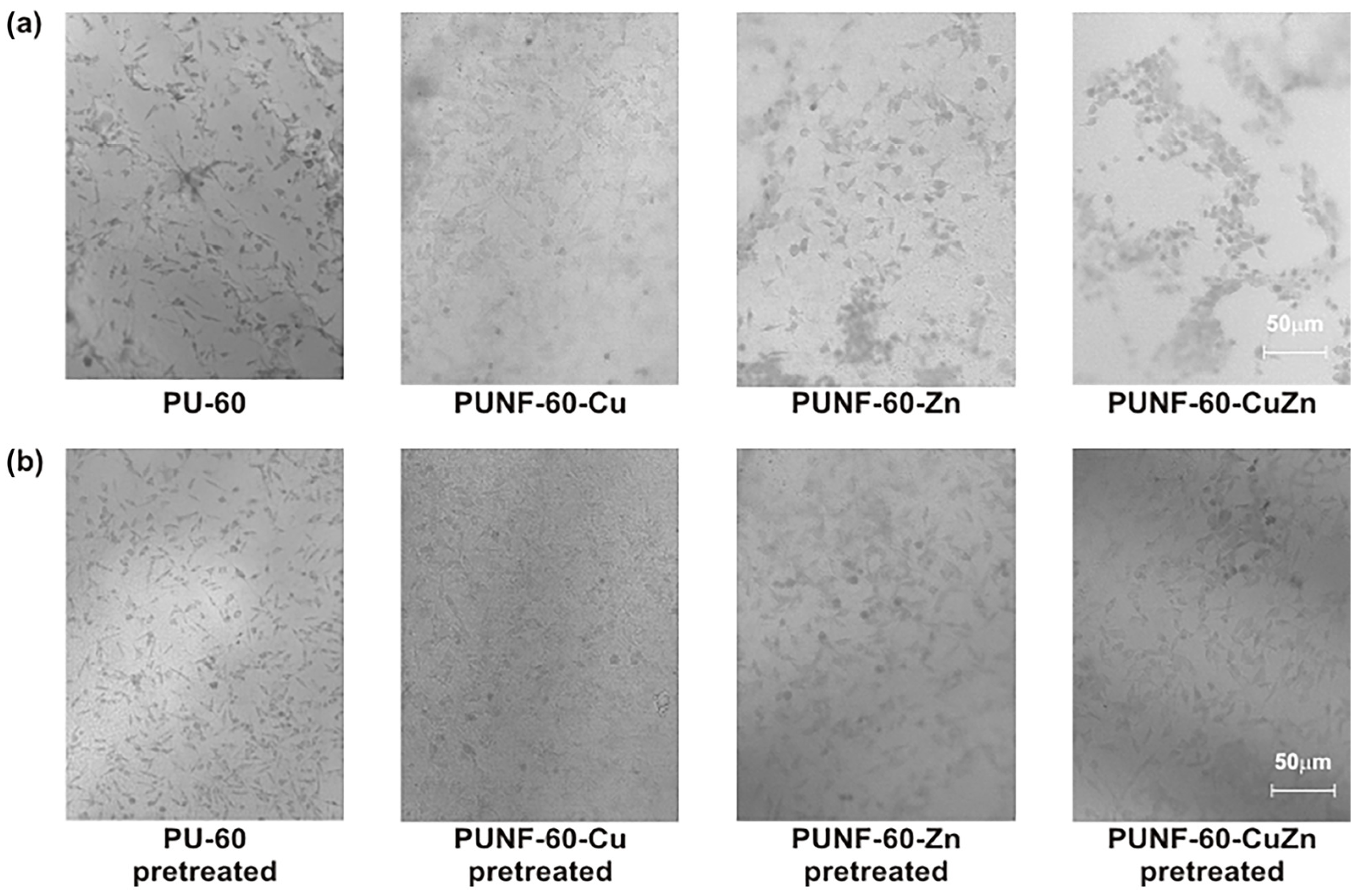 Polymers 17 00152 g011