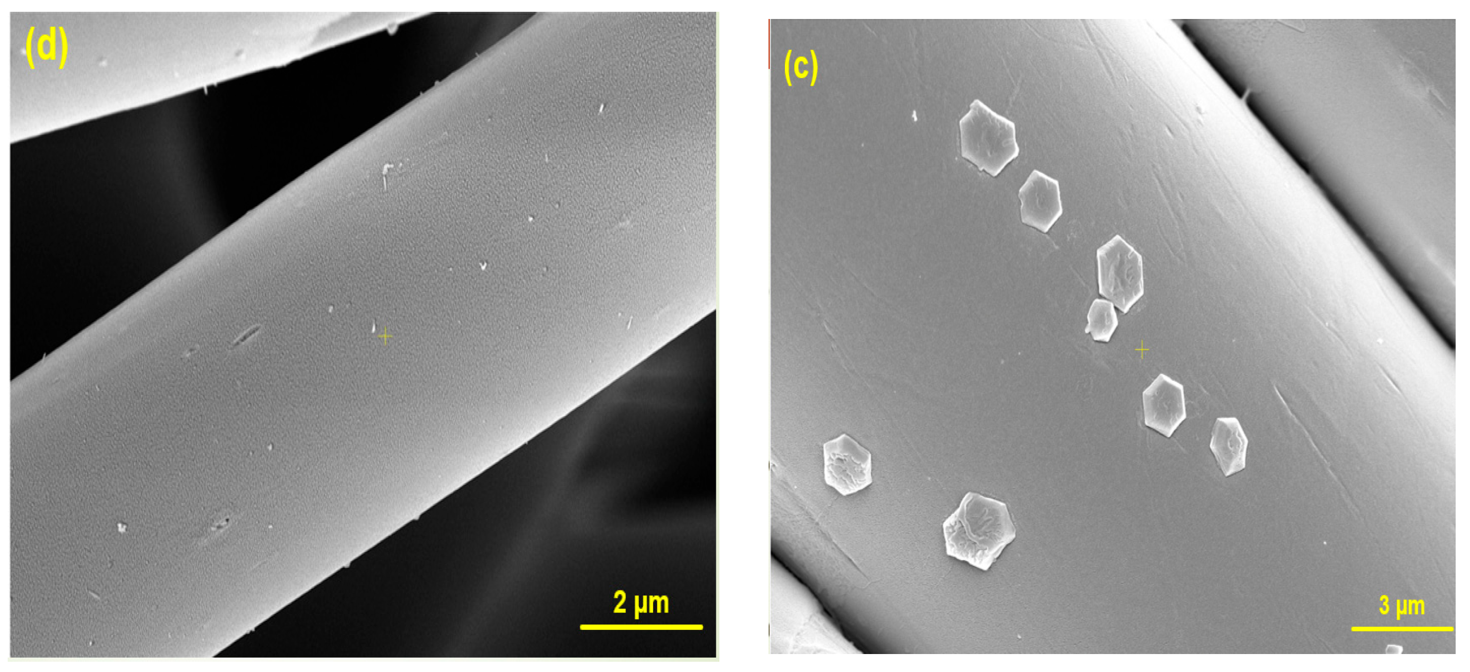 Polymers 17 00154 g002b