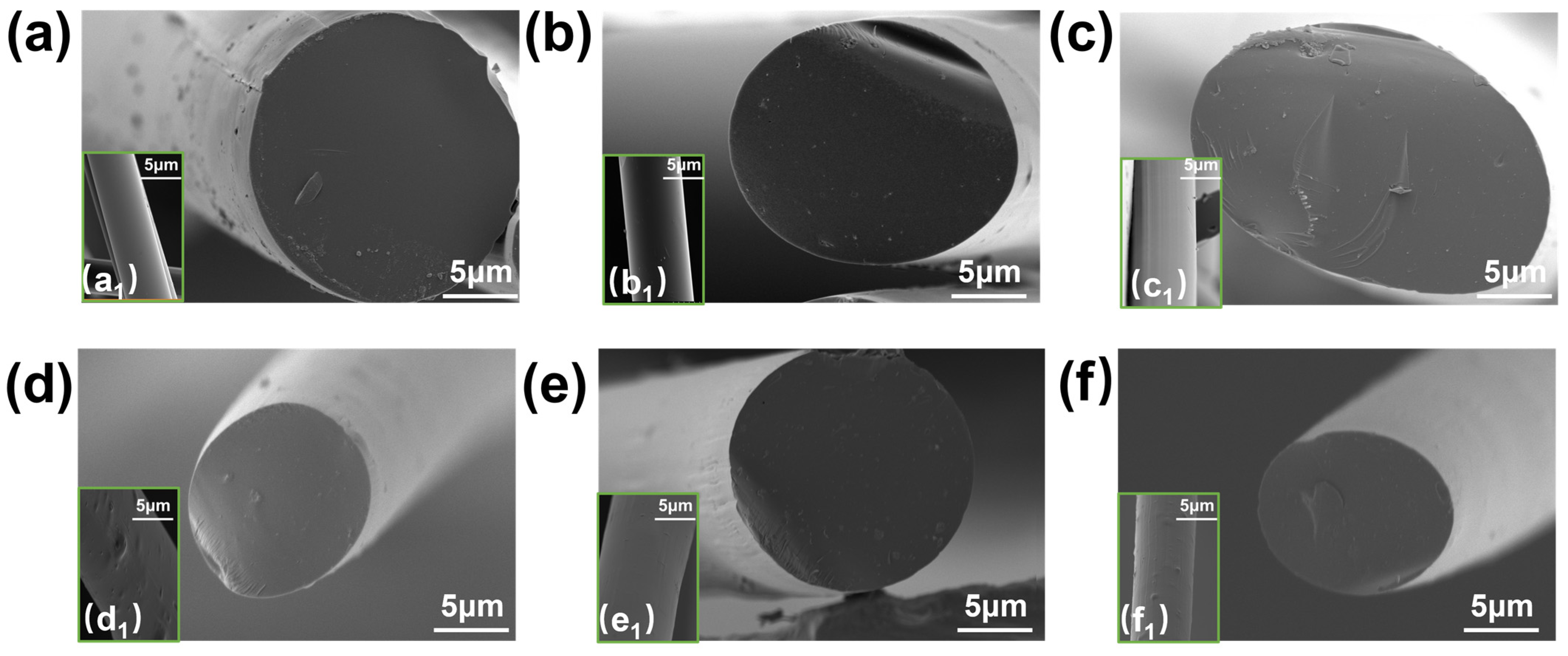 Polymers 17 00155 g001