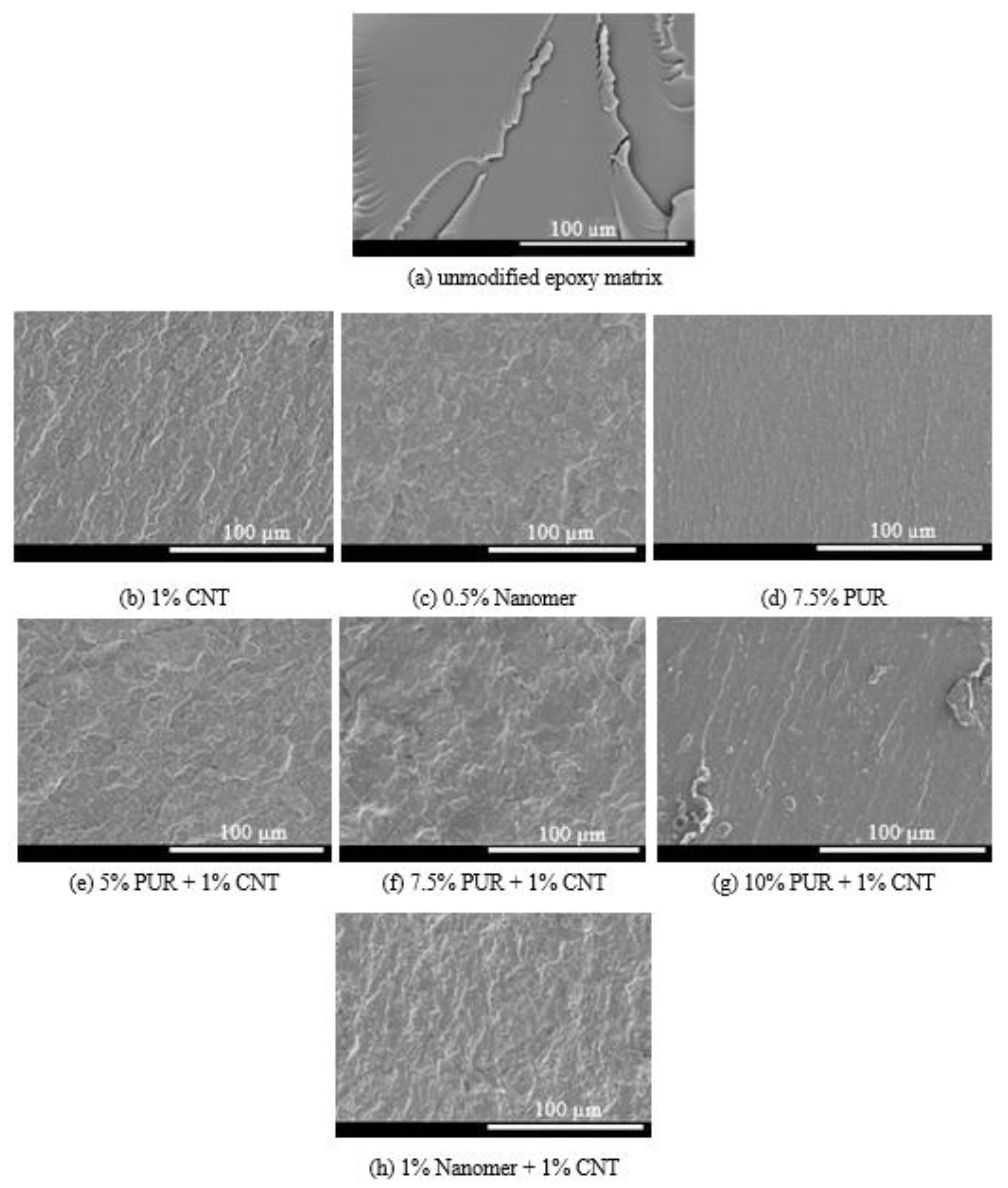 Polymers 17 00158 g014