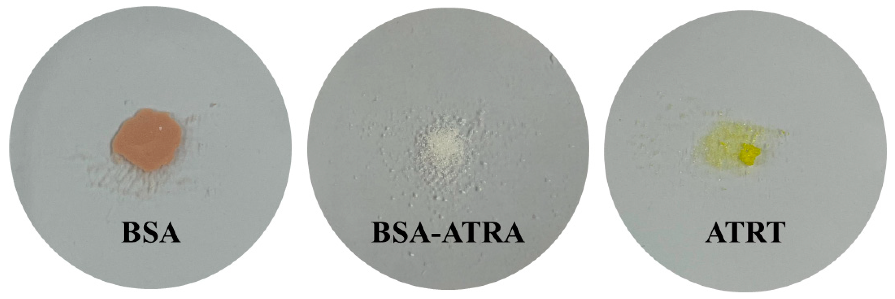 Polymers 17 00159 g002