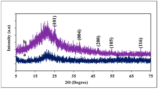 Ultrasonic-Assisted Synthesis and Cytocompatibility