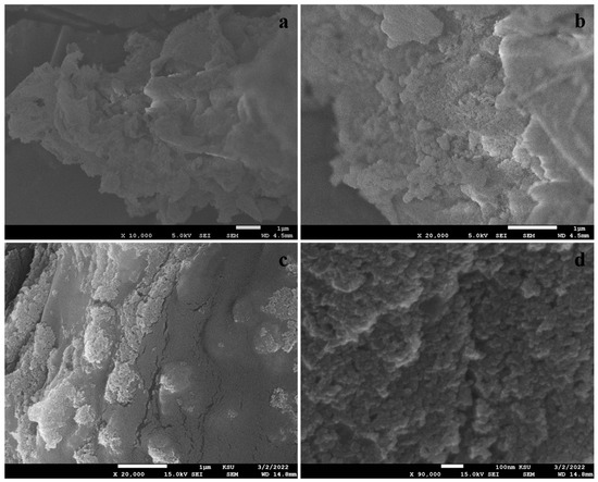 Ultrasonic-Assisted Synthesis and Cytocompatibility
