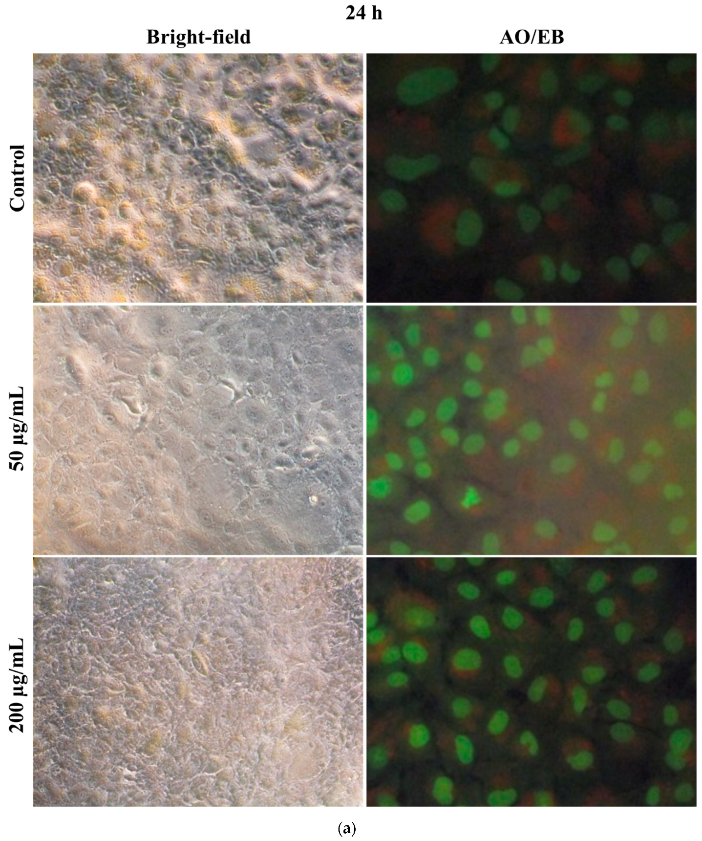 Polymers 17 00161 g007a