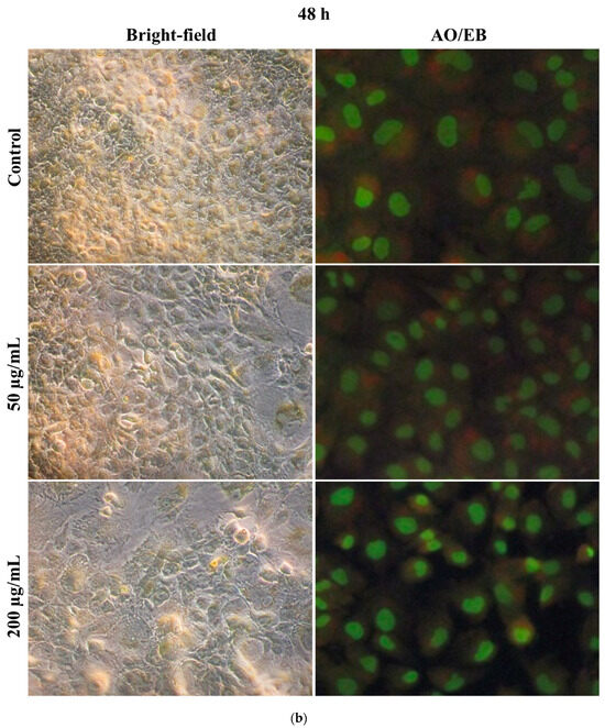 sol Ultrasonic-Assisted Synthesis and Cytocompatibility