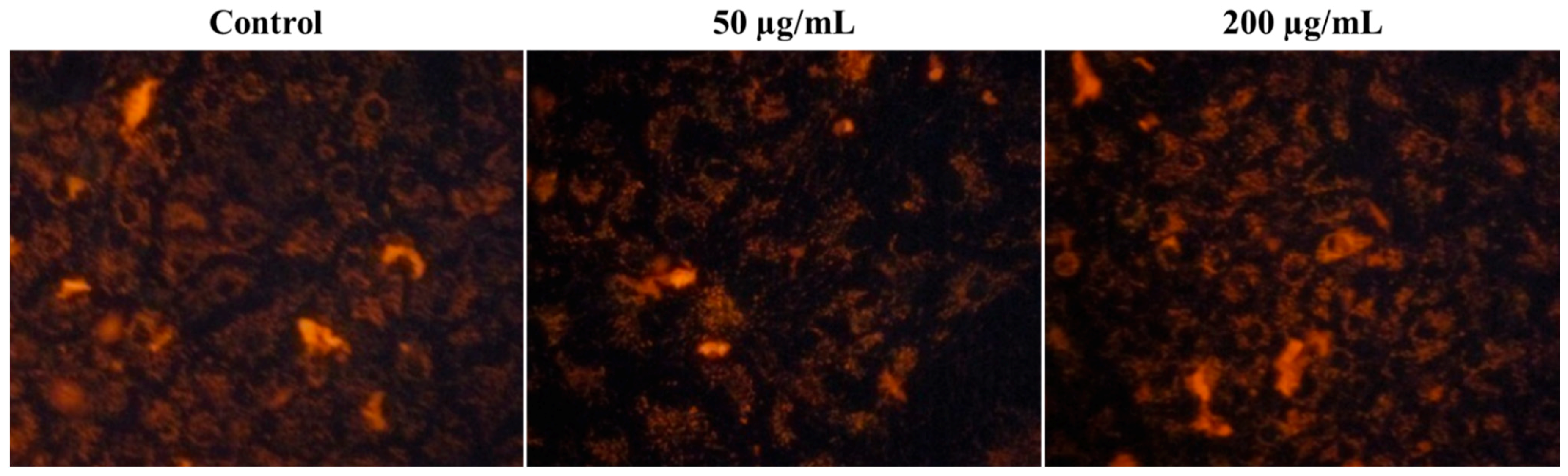 Polymers 17 00161 g008