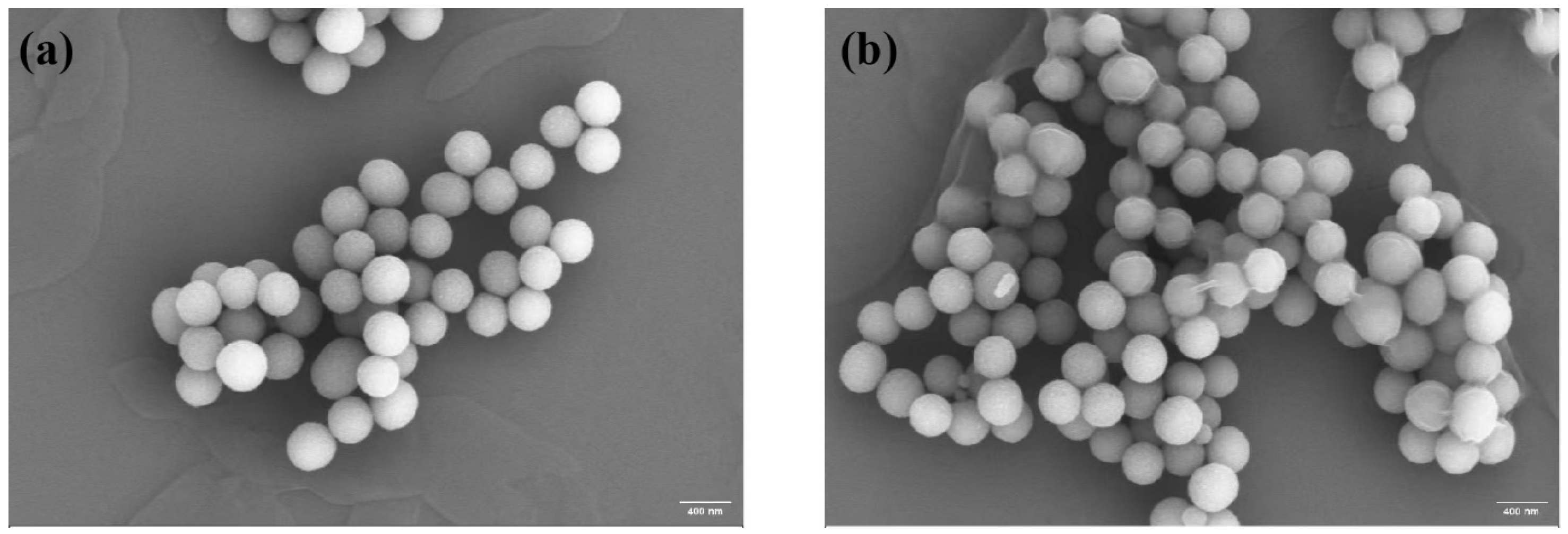 Polymers 17 00162 g003