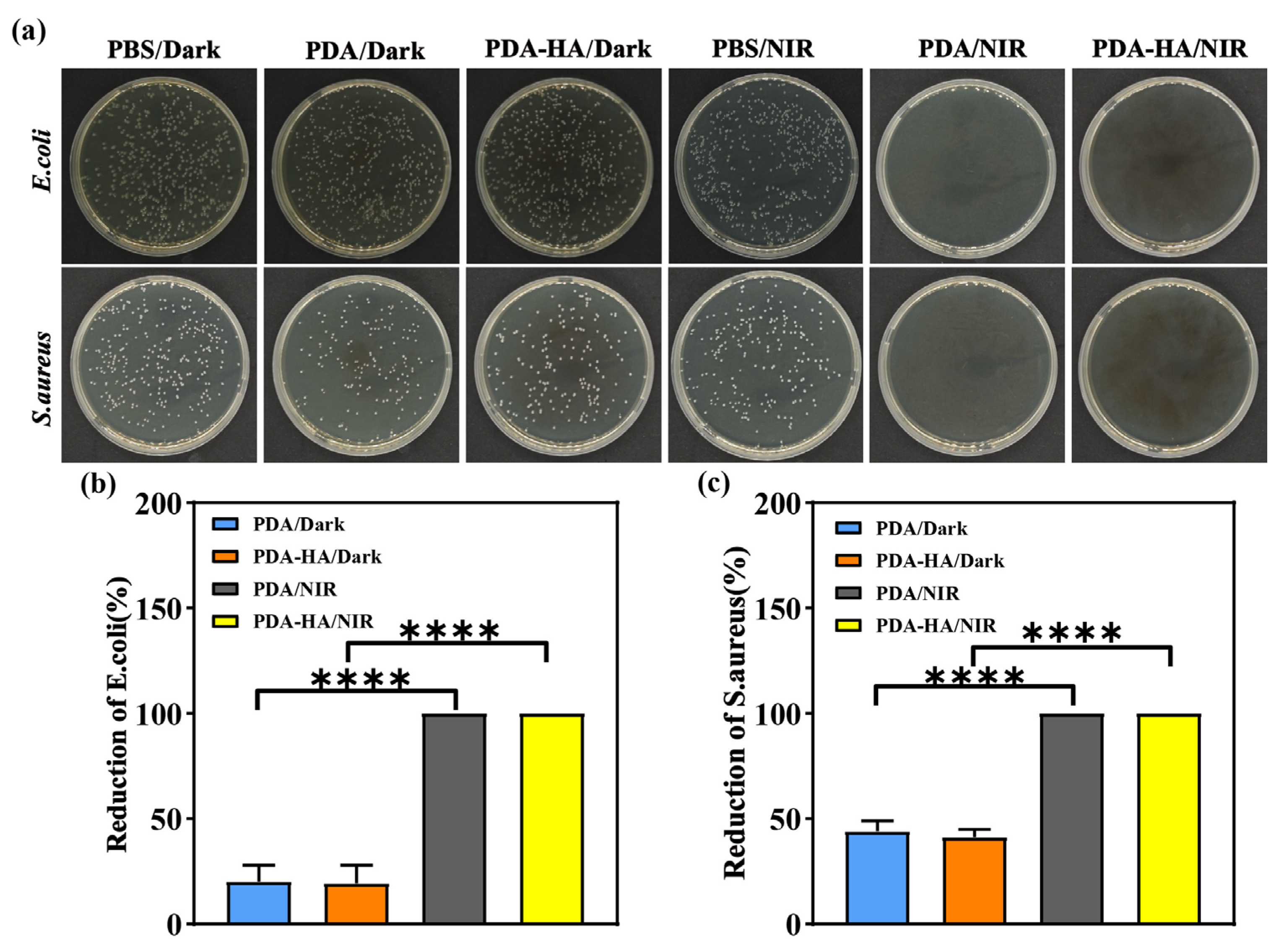 Polymers 17 00162 g006