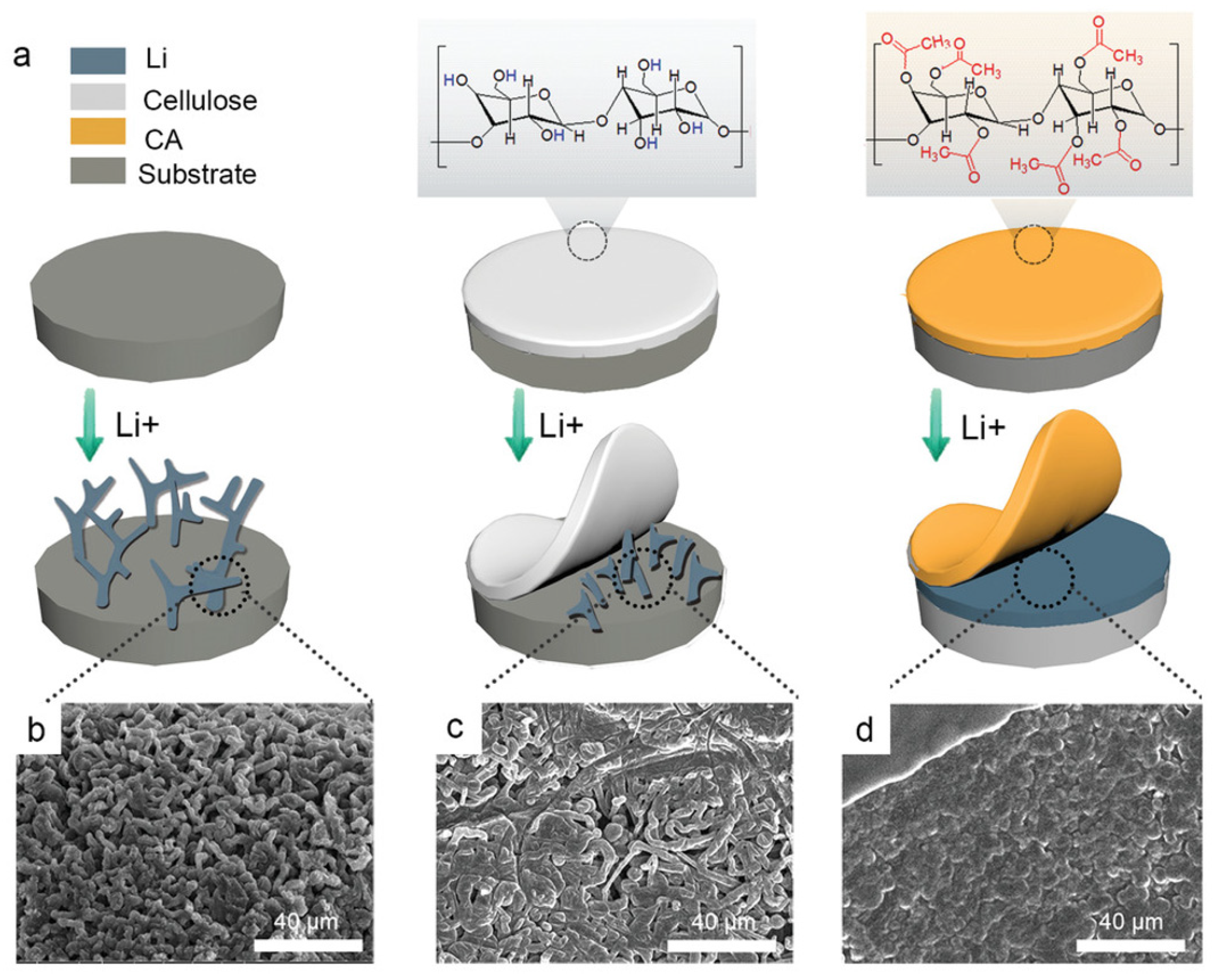 Polymers 17 00164 g008