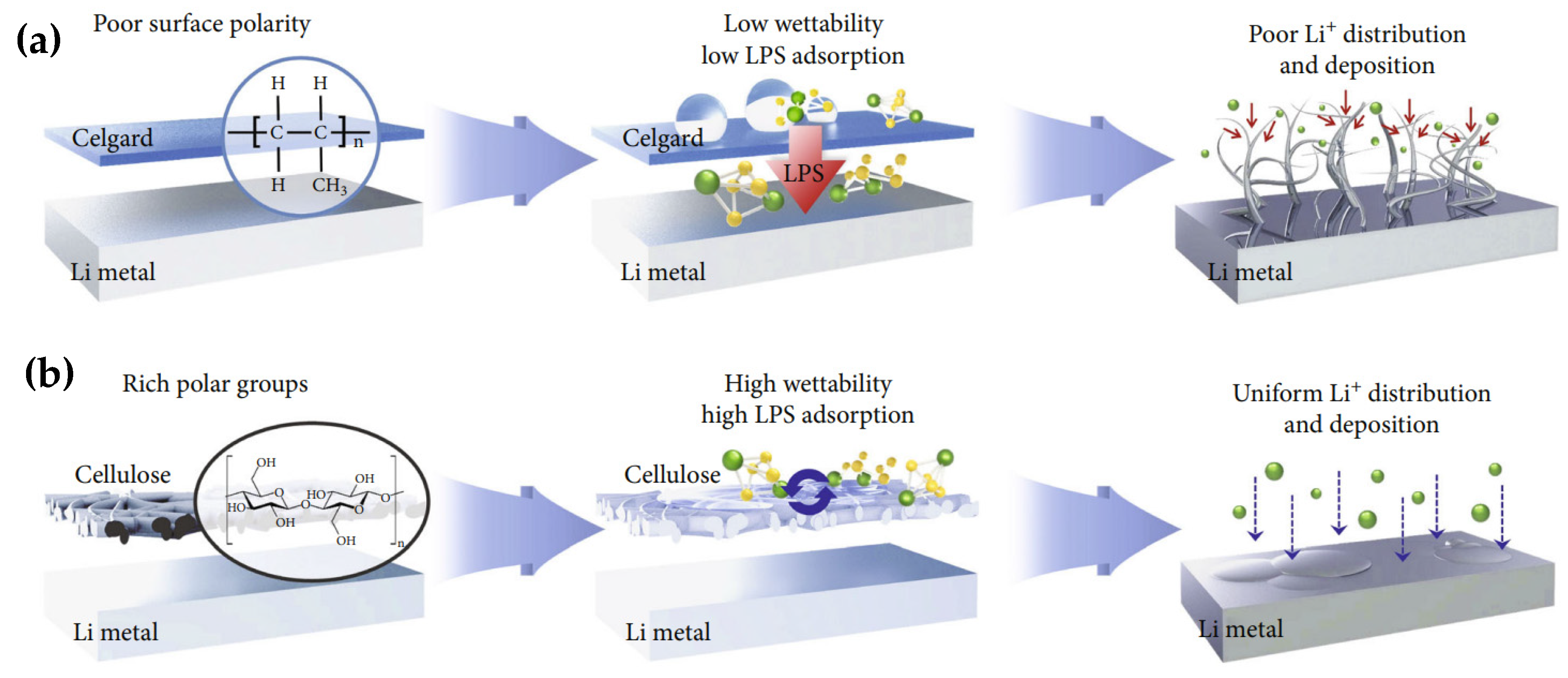 Polymers 17 00164 g010