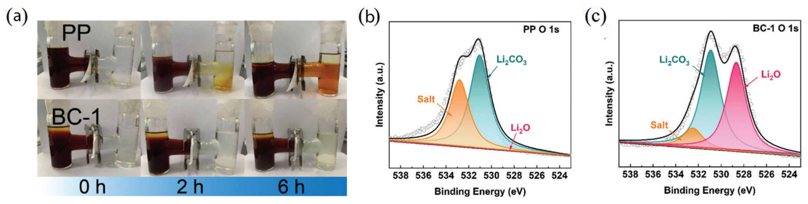Polymers 17 00164 g012
