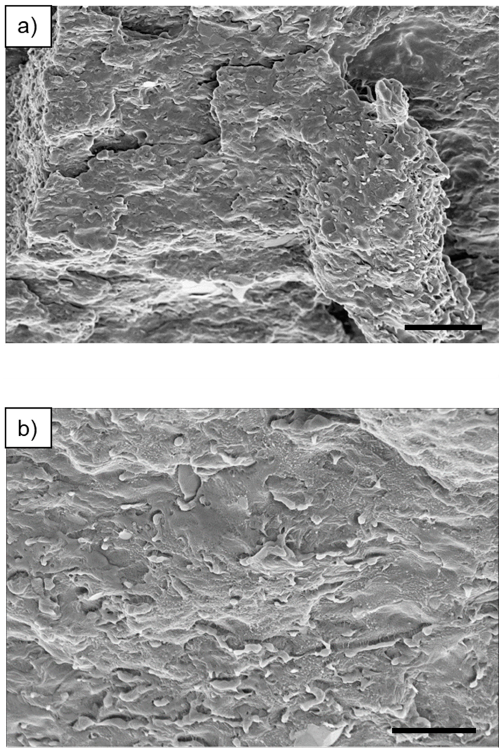 Polymers 17 00166 g004