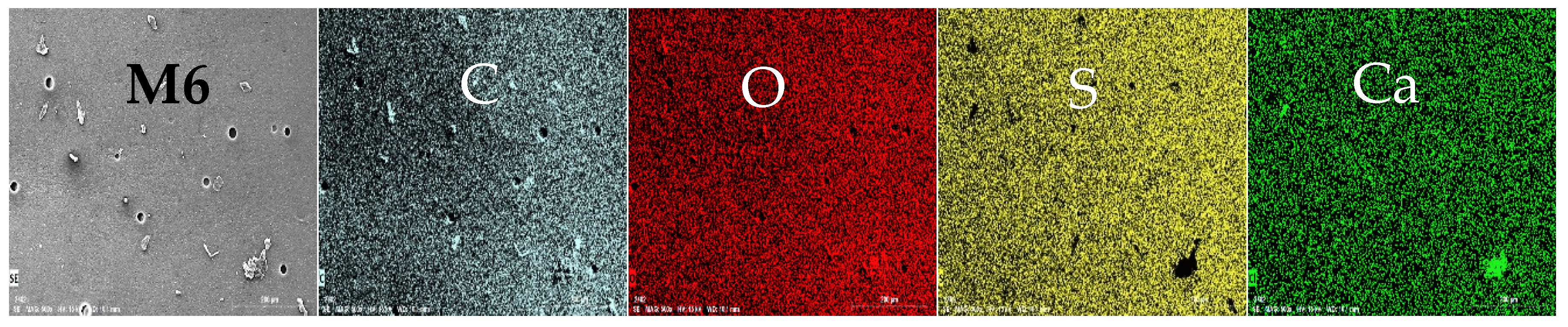 Polymers 17 00176 g004b