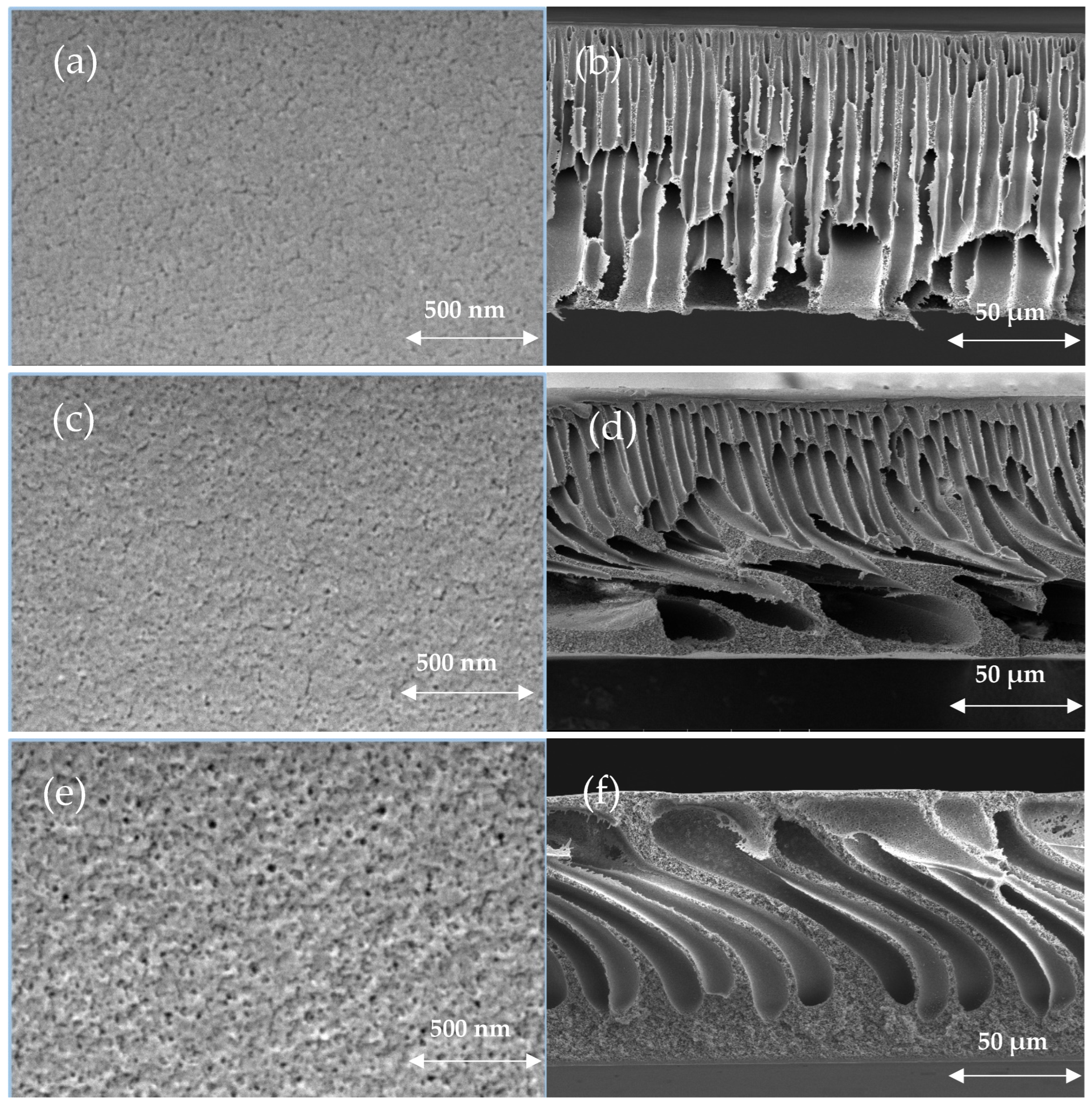 Polymers 17 00176 g007