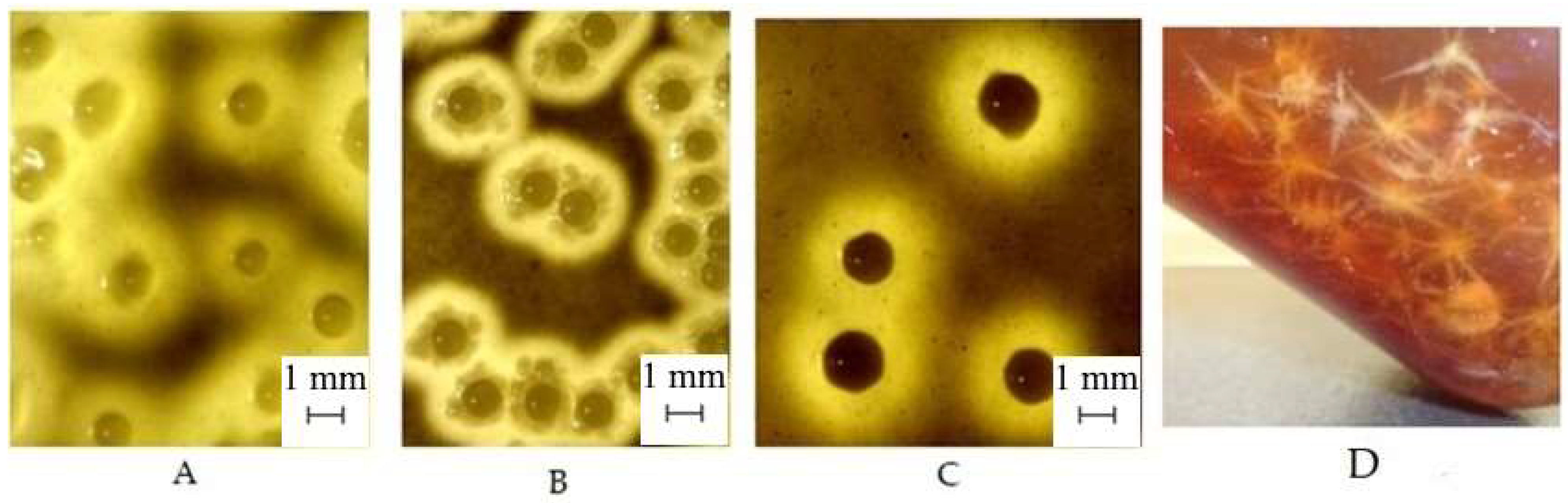 Polymers 17 00179 g005